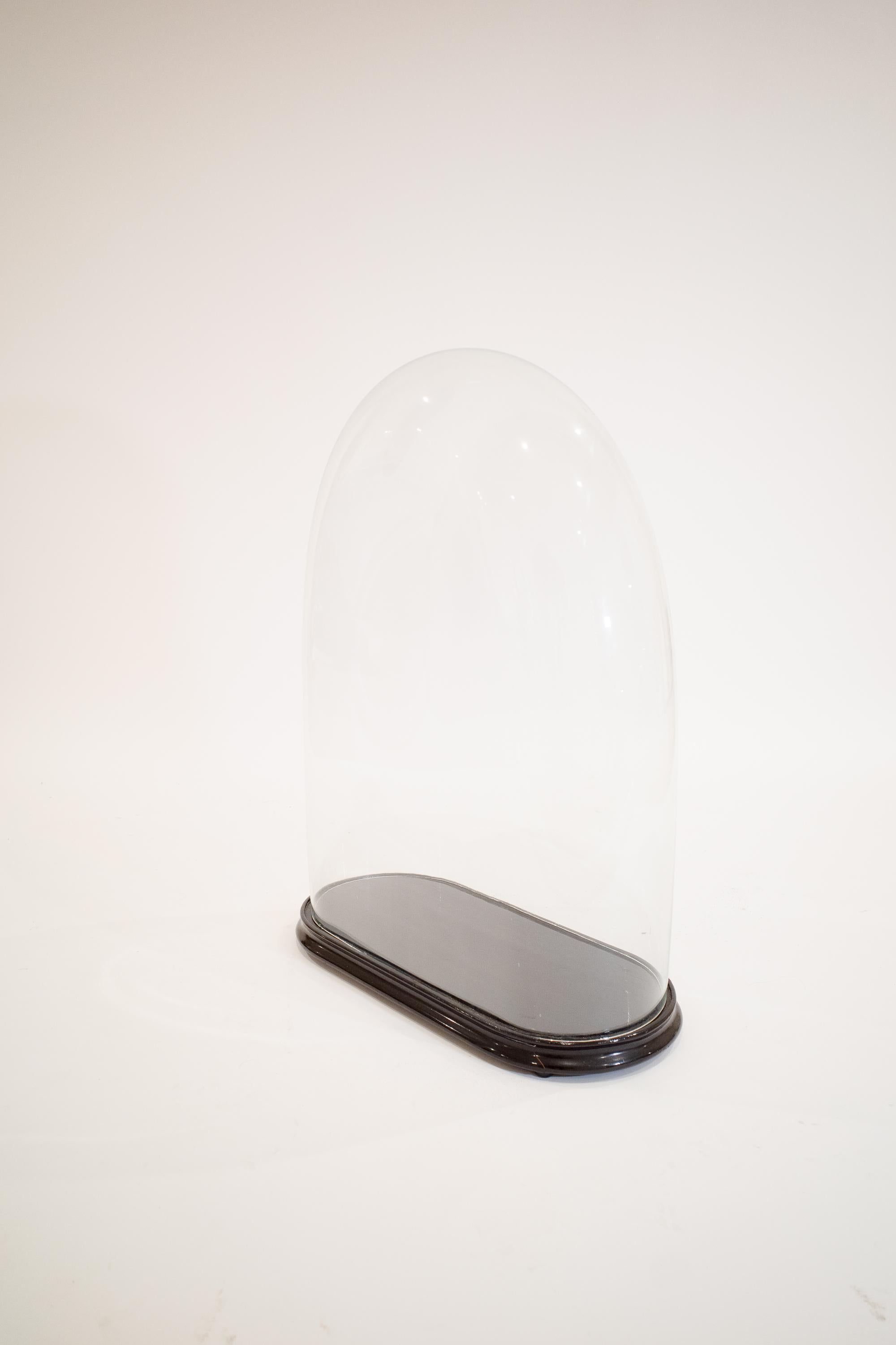 Laccato Cloche con base in Wood laccato in vendita