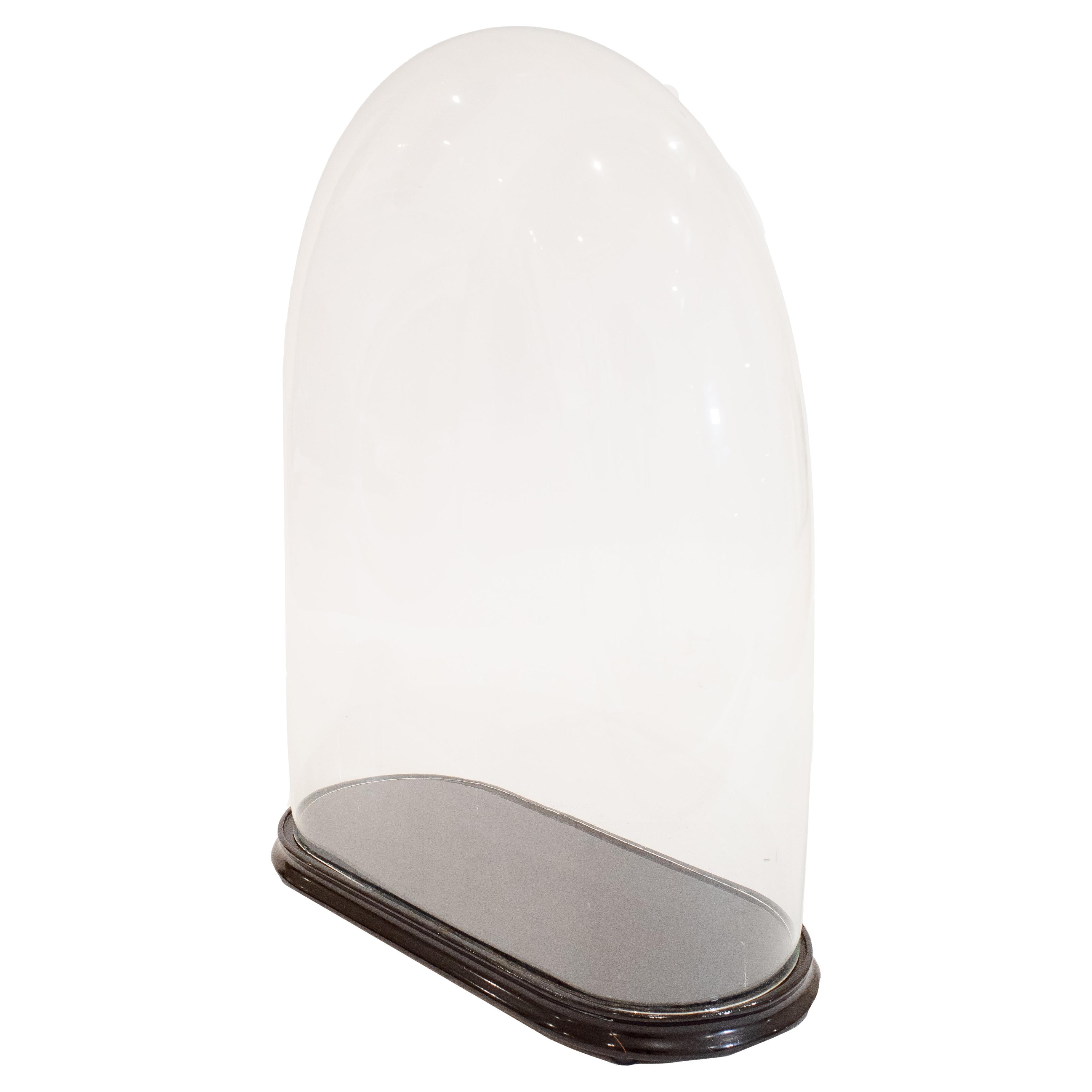 Cloche with Lacquered Wood Base