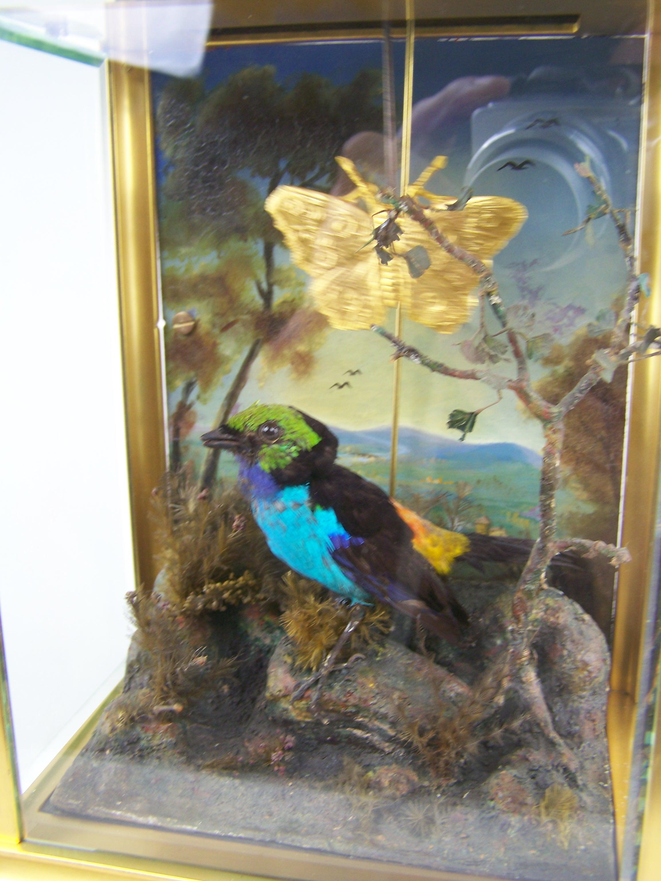 French Clock with Singing Bird Automaton by Bontems For Sale