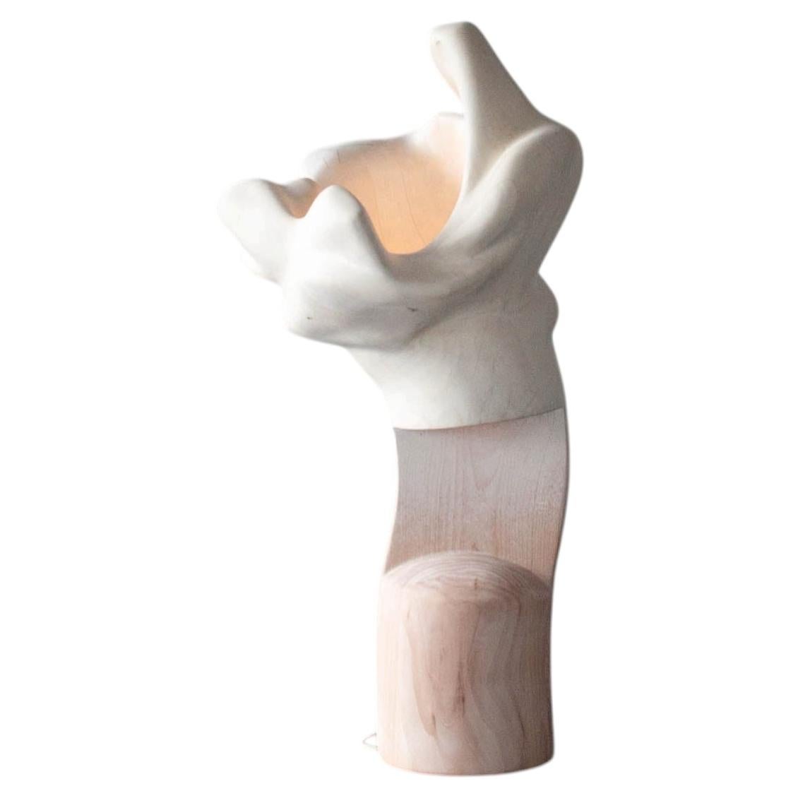 Cloud Flow Organic Carved Wood Floor Lamp Light Sculpture For Sale