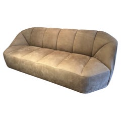 Cloud Sofa in Cat.L2 von Gallotti&Radice, Importiert aus Italien