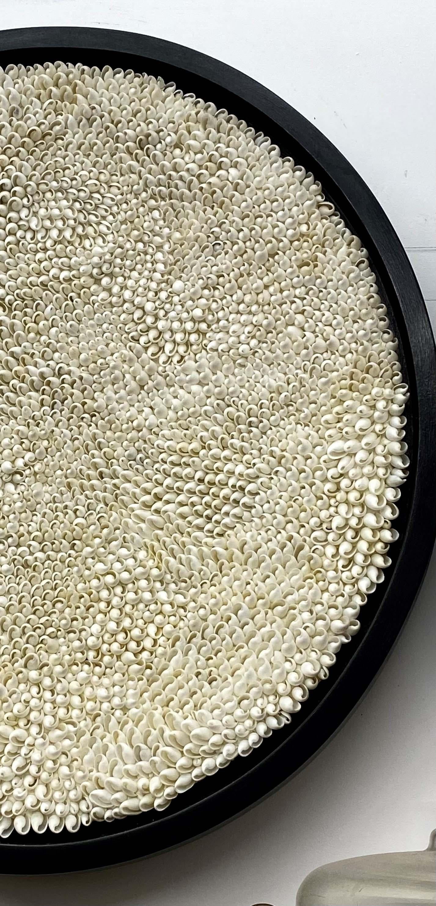 Nuvole concave In condizioni Nuovo in vendita a New York, NY