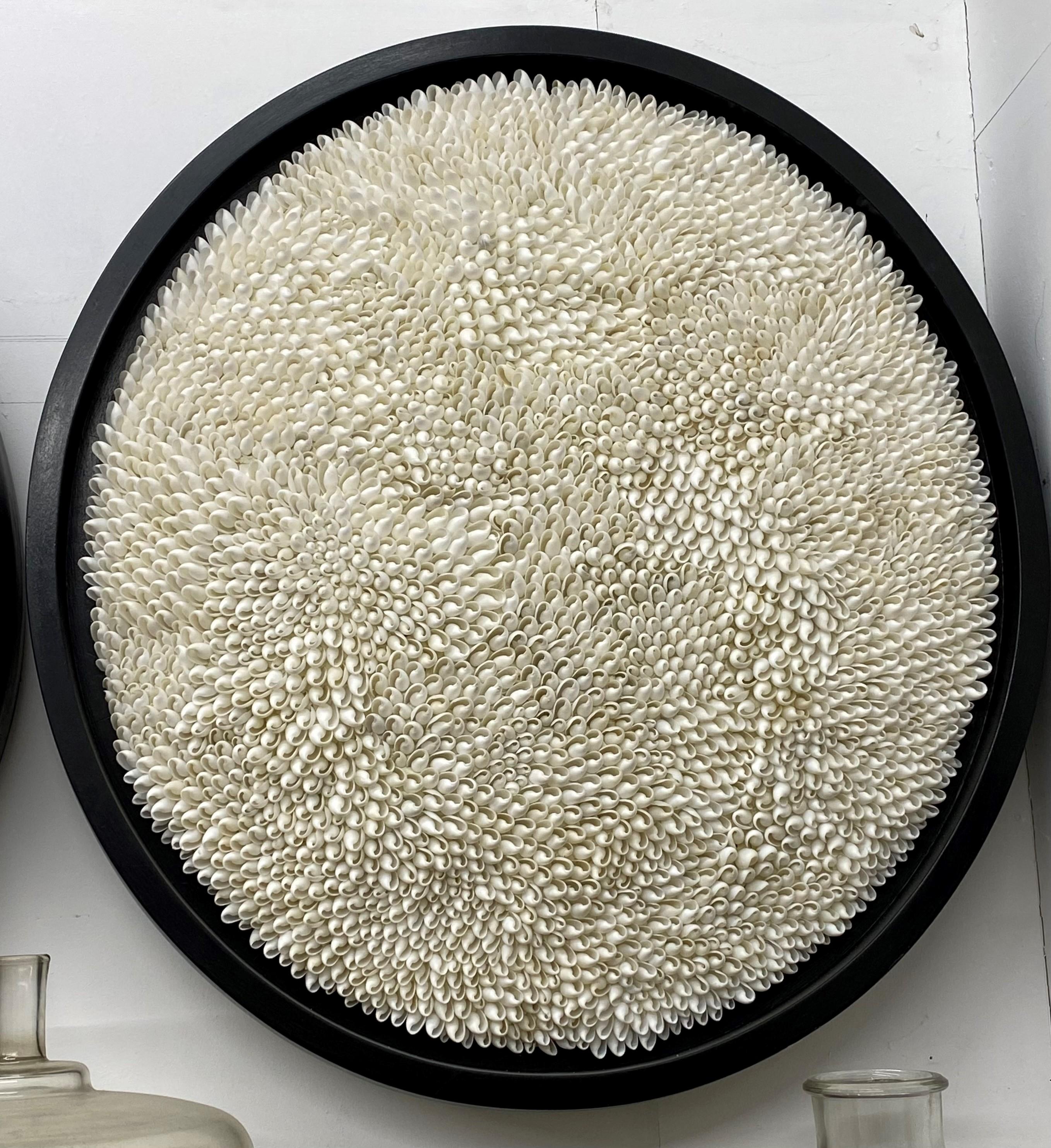 Circular art piece made with white bubble shells.