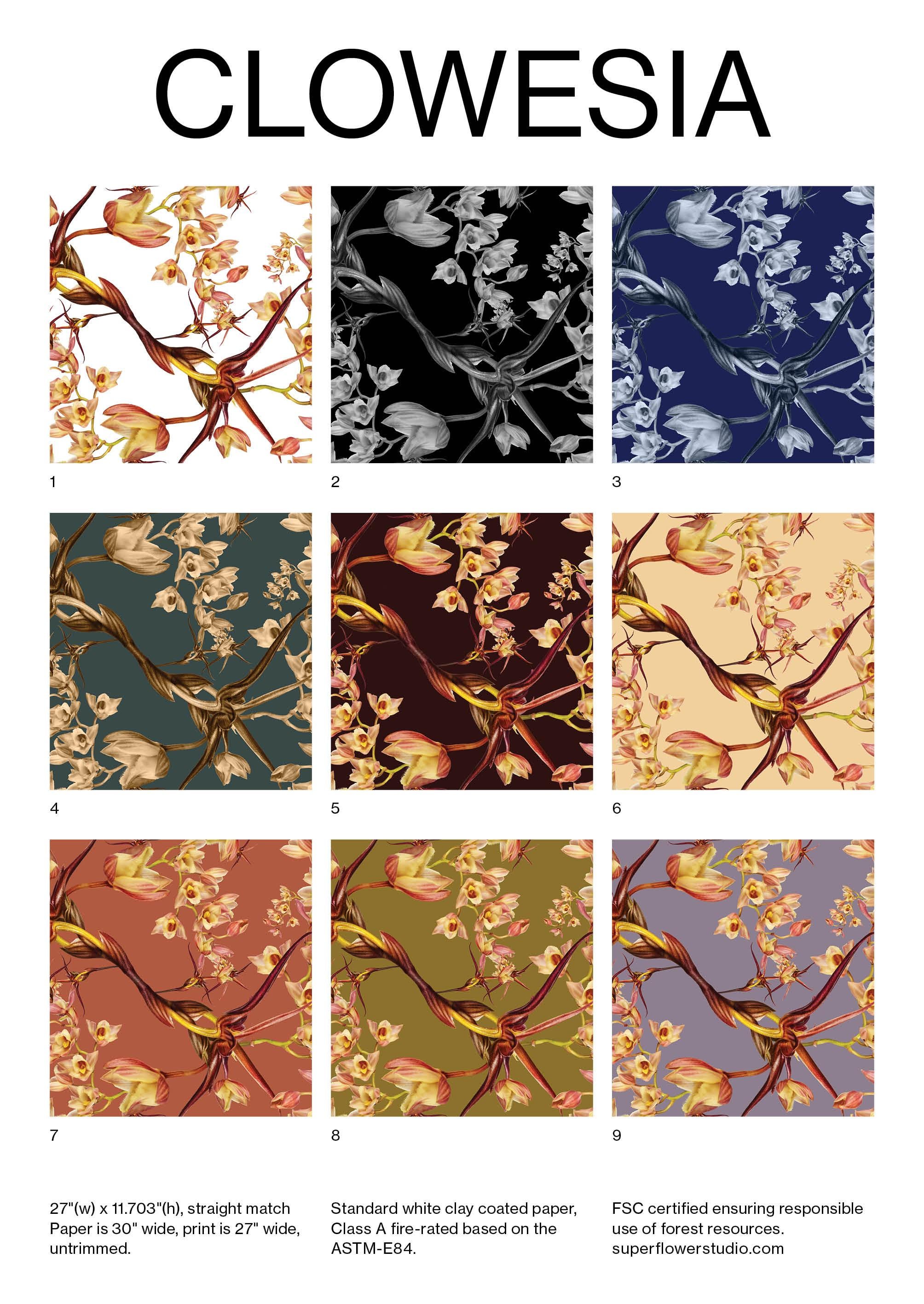 Clowesia Floral Wallpaper  For Sale 13