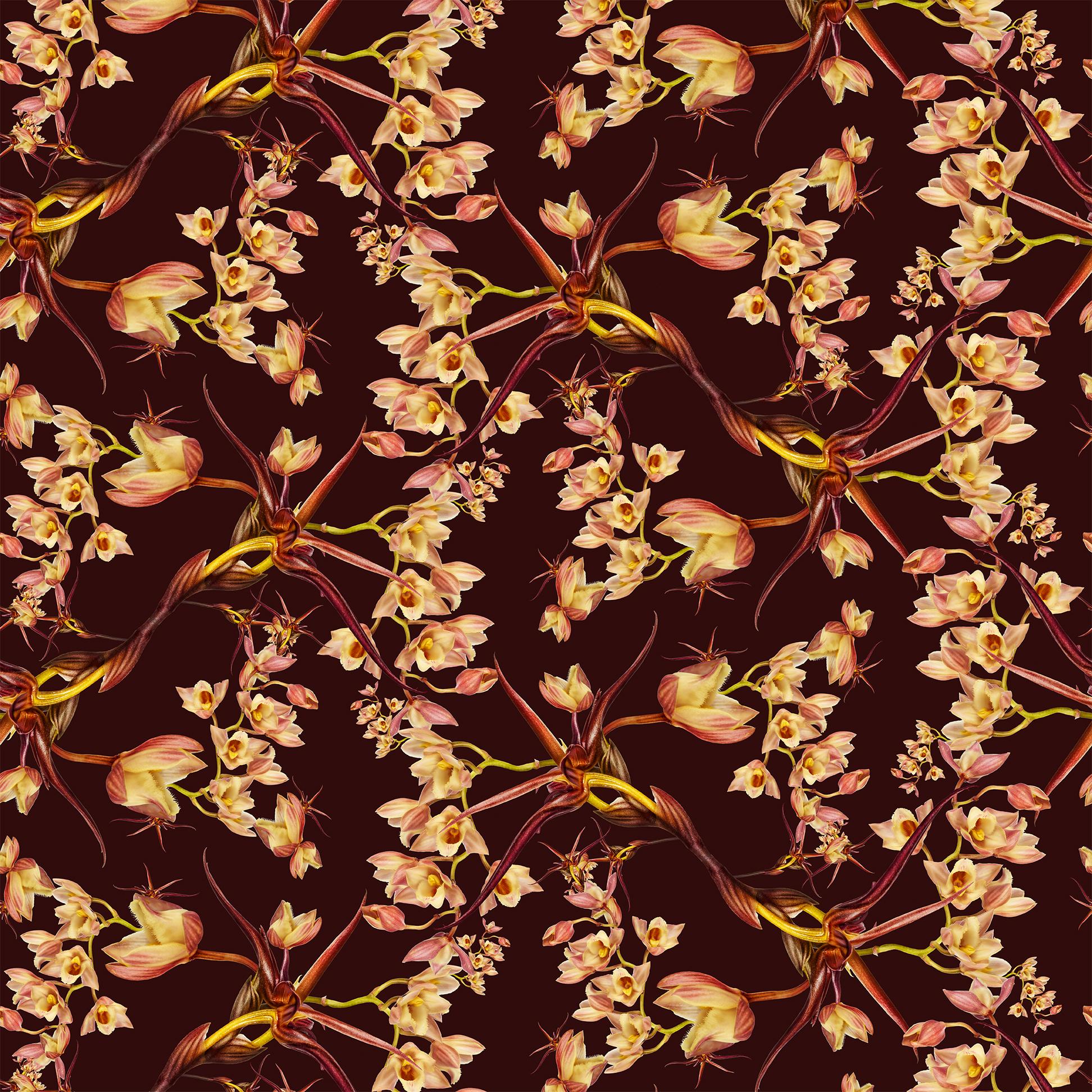 Contemporary Clowesia Floral Wallpaper  For Sale