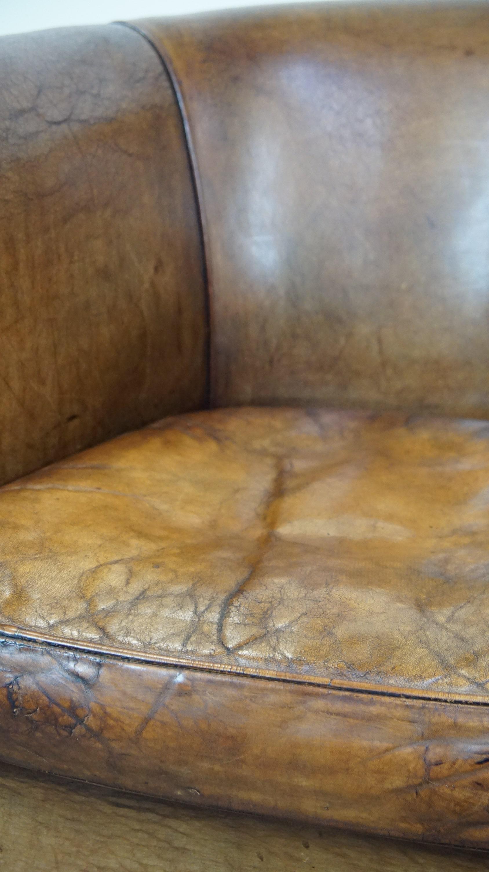 Club chair made of sheepskin leather with the most beautiful colors For Sale 4