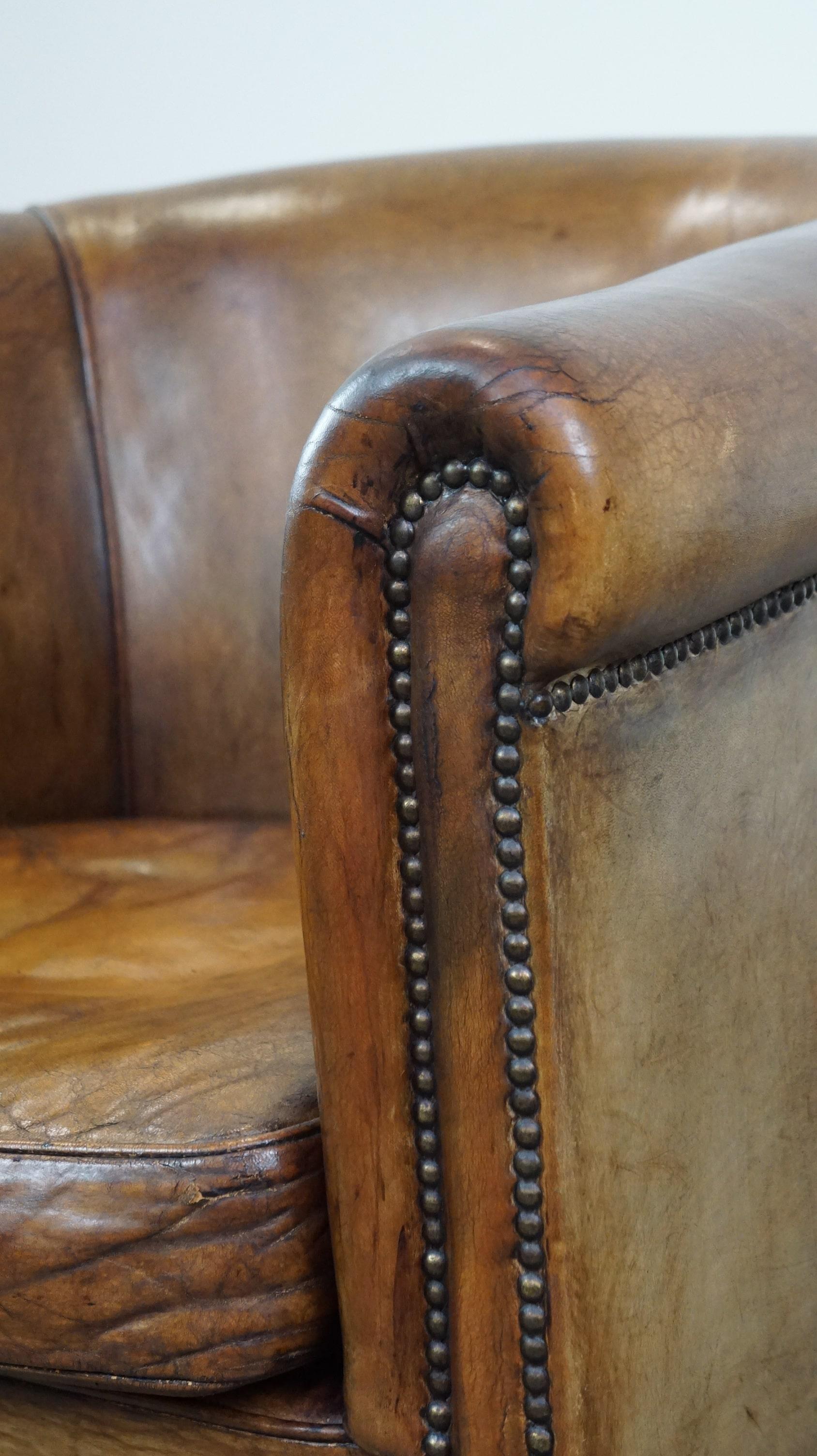 Club chair made of sheepskin leather with the most beautiful colors For Sale 5