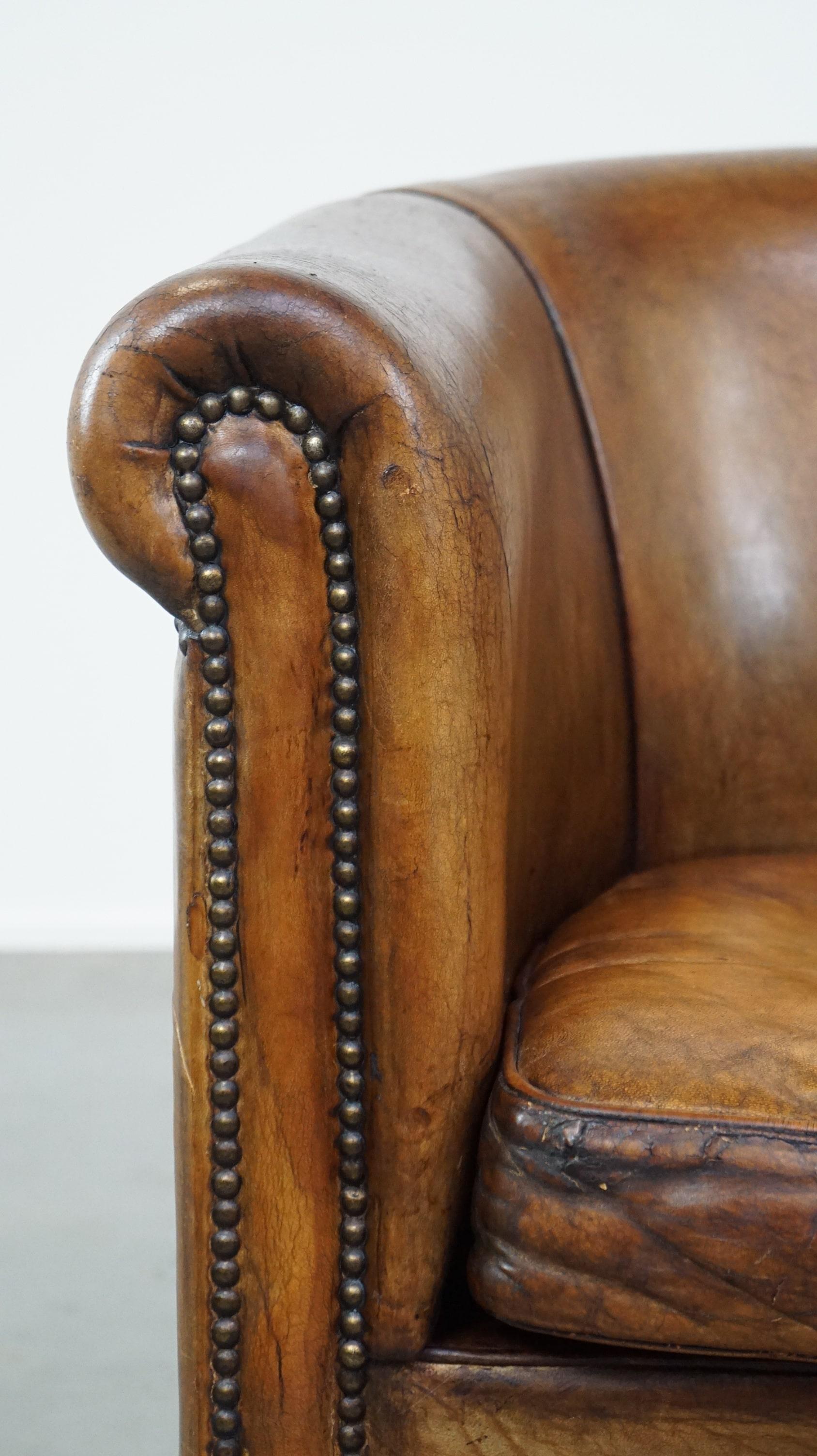 Club chair made of sheepskin leather with the most beautiful colors For Sale 6