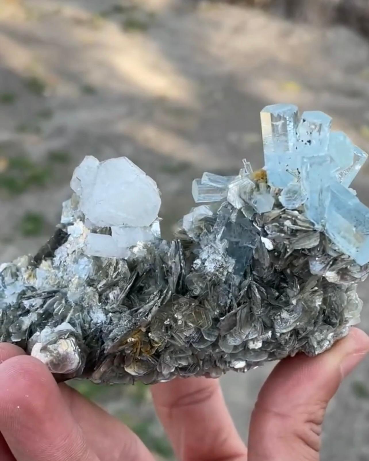 Product Information:

Specimen Name: Aquamarine Crystal on Muscovite
Weight: 244 grams
Dimensions: H: 8 x W: 12 x D: 6 cm
Treatment: None
Locality: Nagar Valley, Skardu District, Gilgit Baltistan Province, Pakistan

Description:

This striking