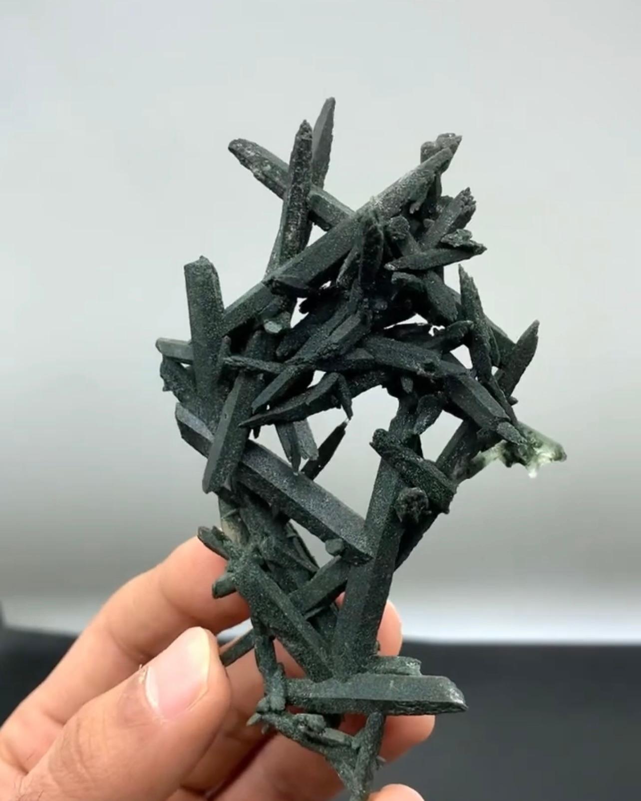 Cluster aus länglichen Waldgrünen Chlorit-Quarzkristallen aus Pakistan (21. Jahrhundert und zeitgenössisch) im Angebot
