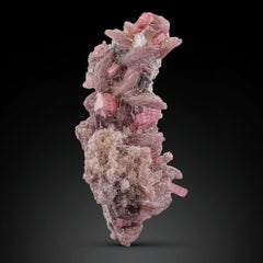 Grappolo di tormalina rosa su lepidolite con microlite dall'Afghanistan