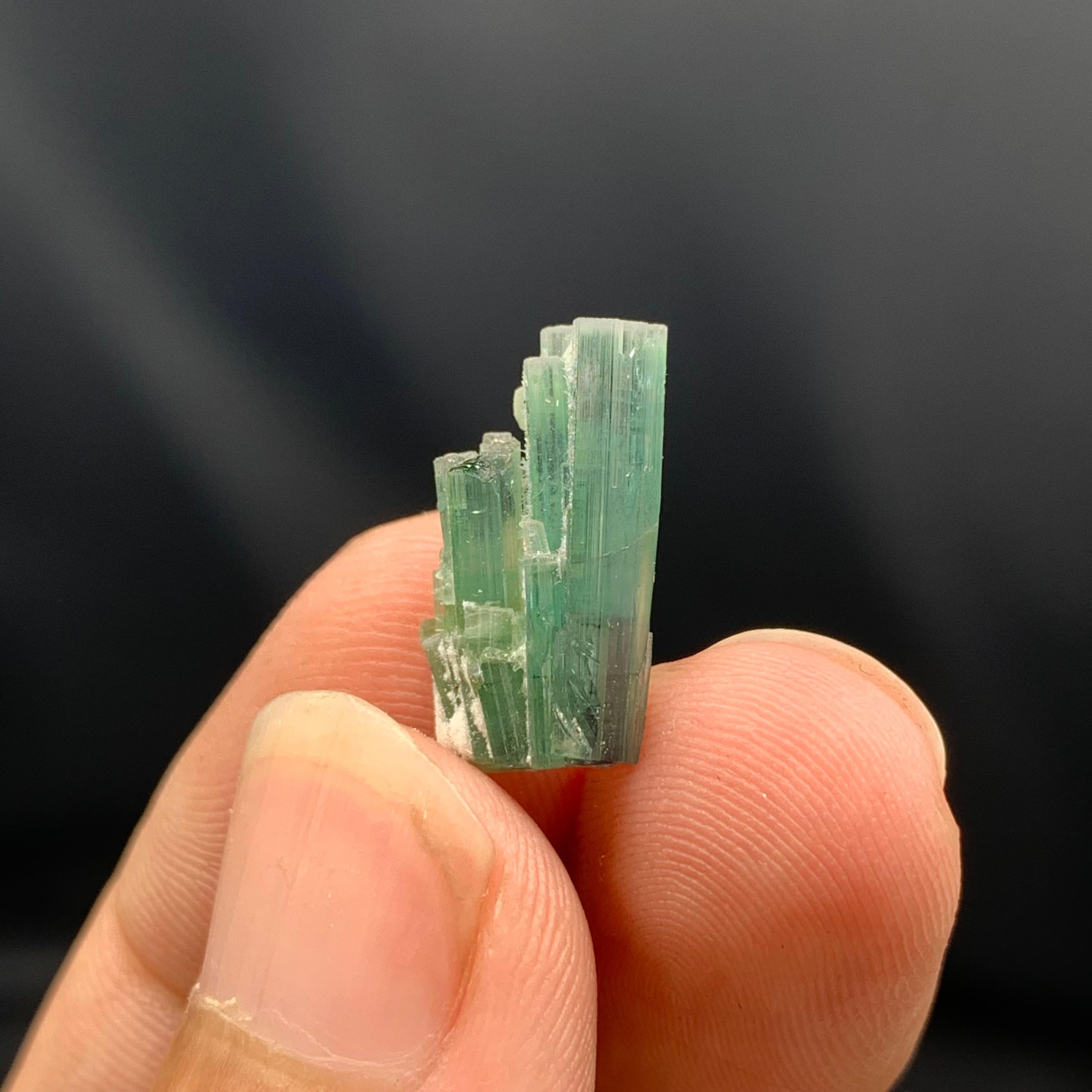 Style Adam Lustre de tourmaline indicolite provenant d'Afghanistan en vente
