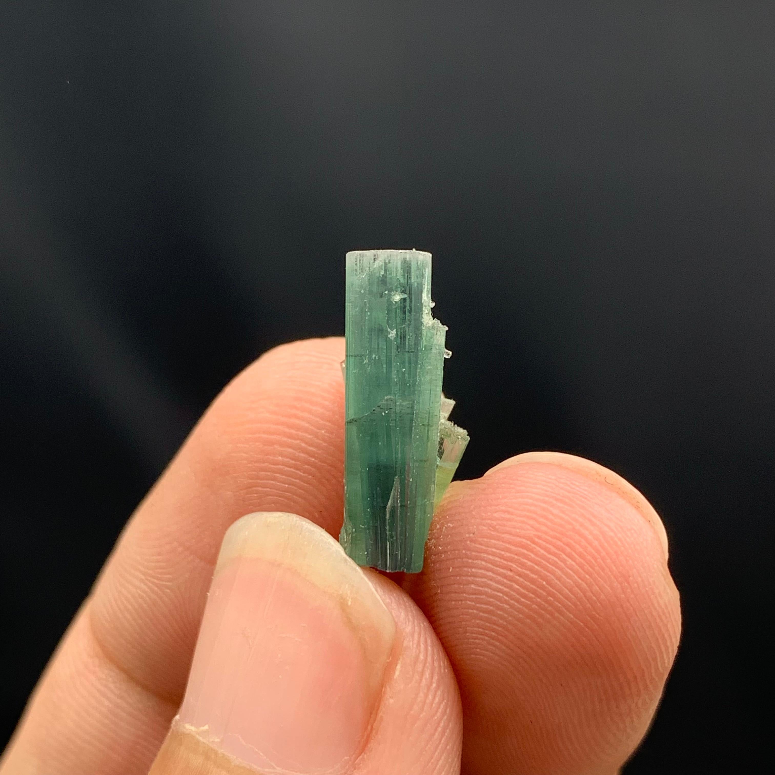 Lustre de tourmaline indicolite provenant d'Afghanistan Bon état - En vente à Peshawar, PK