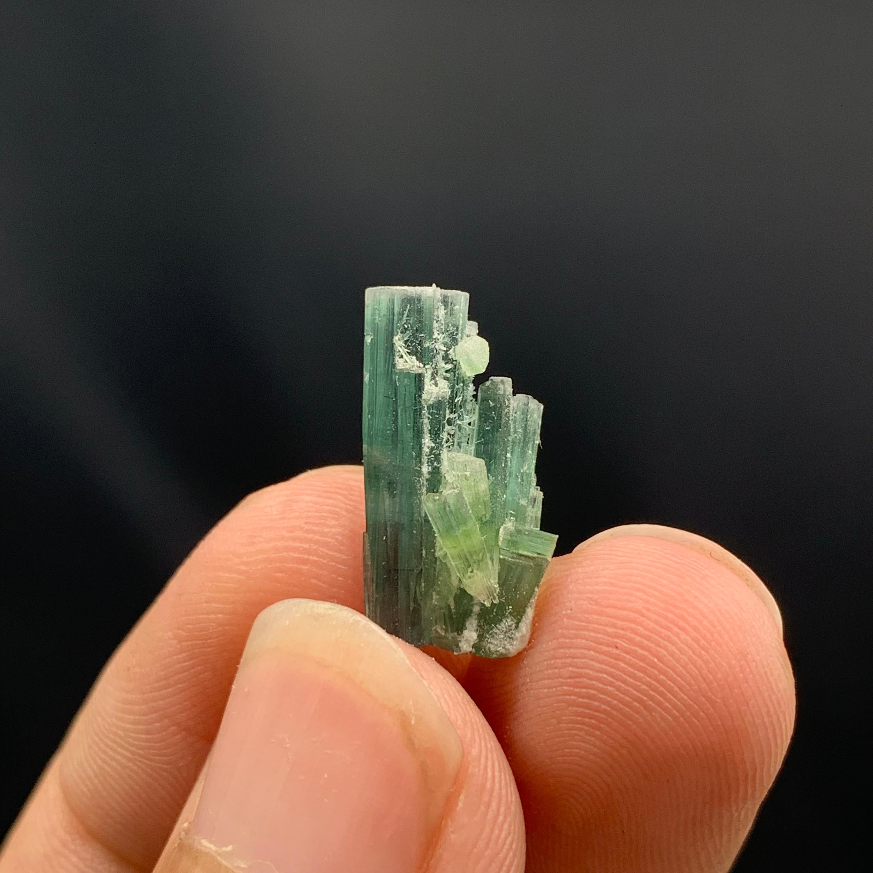 XXIe siècle et contemporain Lustre de tourmaline indicolite provenant d'Afghanistan en vente