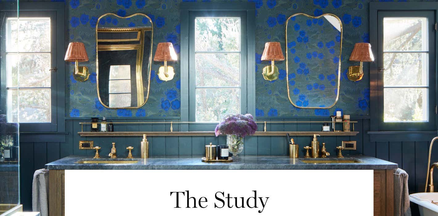 The Study