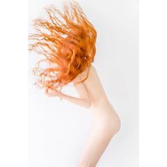 Contemporary Color Photography