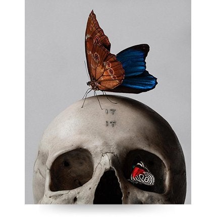 Mario Kroes, <i>Skull & Butterfly</i>, 2018
