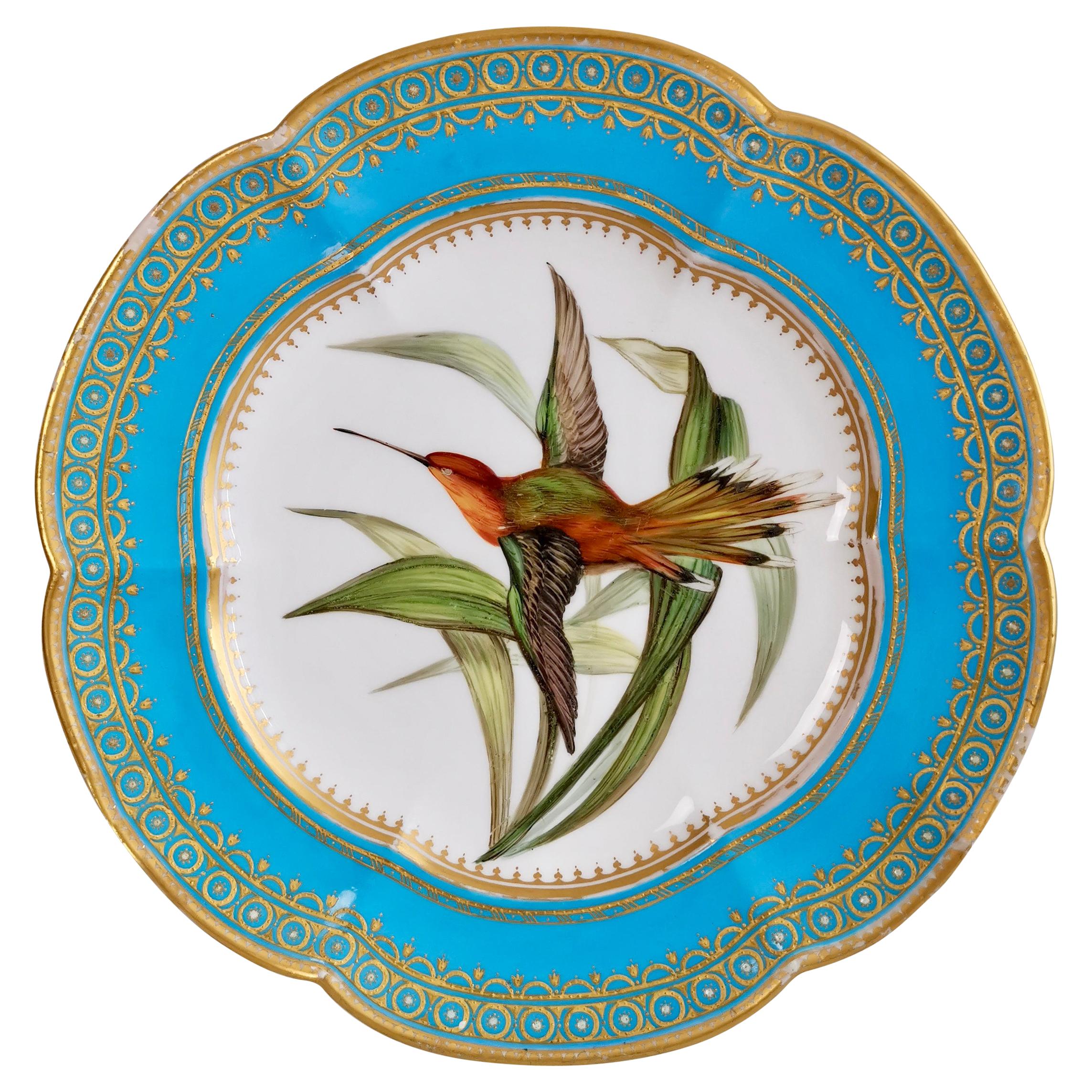 Coalport Dessert Plate, Humming Bird by John Randall, circa 1870