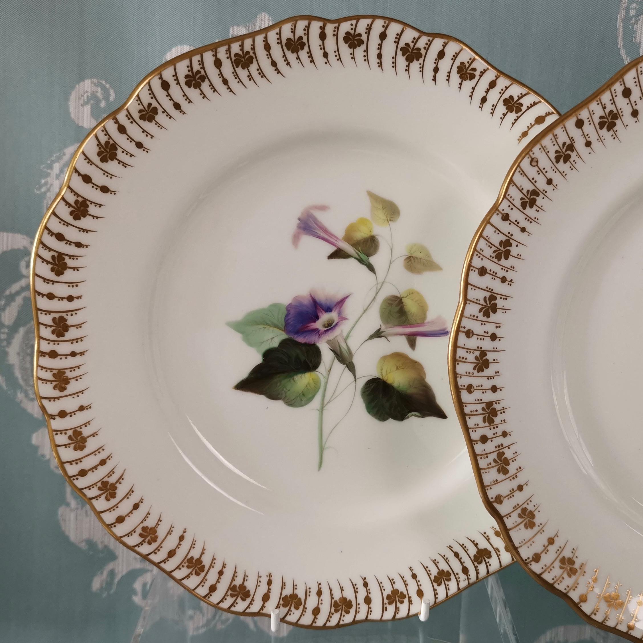 Coalport Dessert Service, Floral Studies by Cecil Jones, circa 1820 6