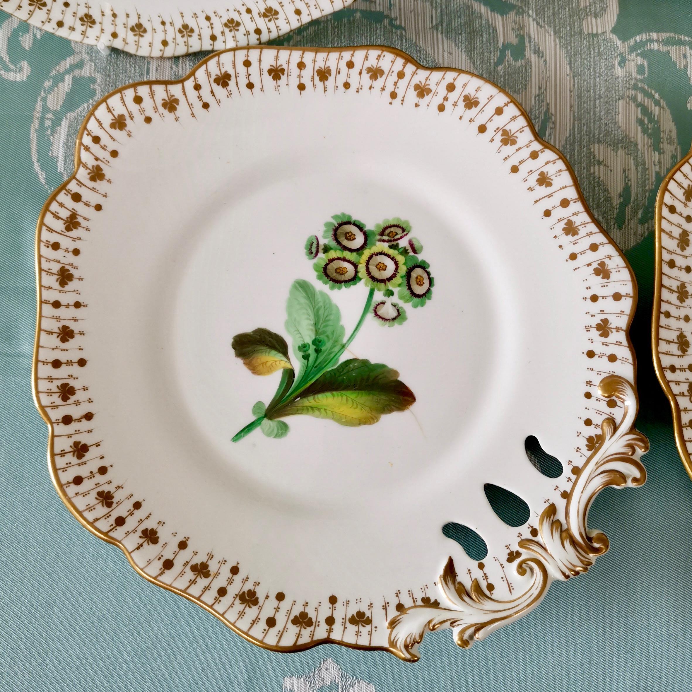 Early 19th Century Coalport Dessert Service, Floral Studies by Cecil Jones, circa 1820