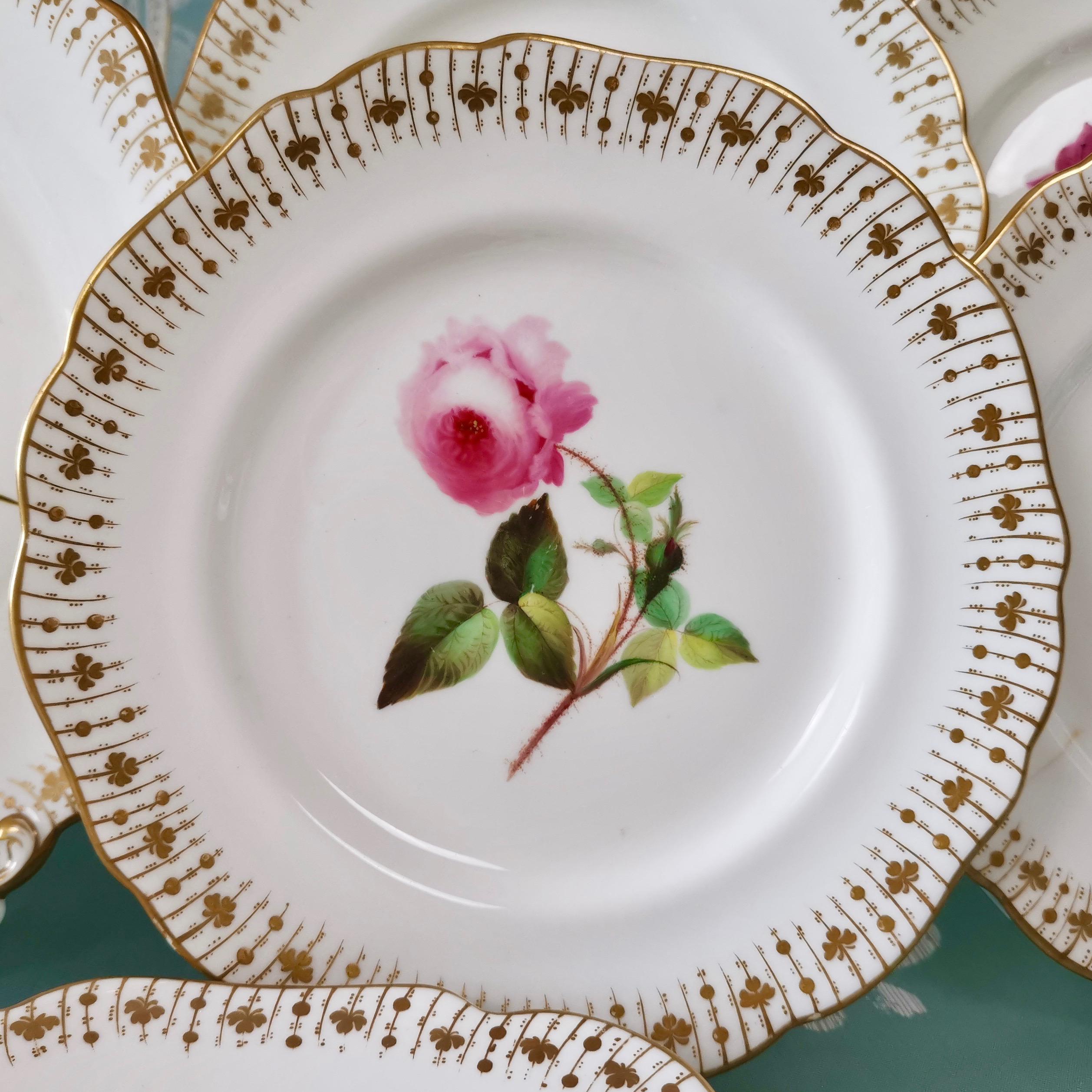 Porcelain Coalport Dessert Service, Floral Studies by Cecil Jones, circa 1820