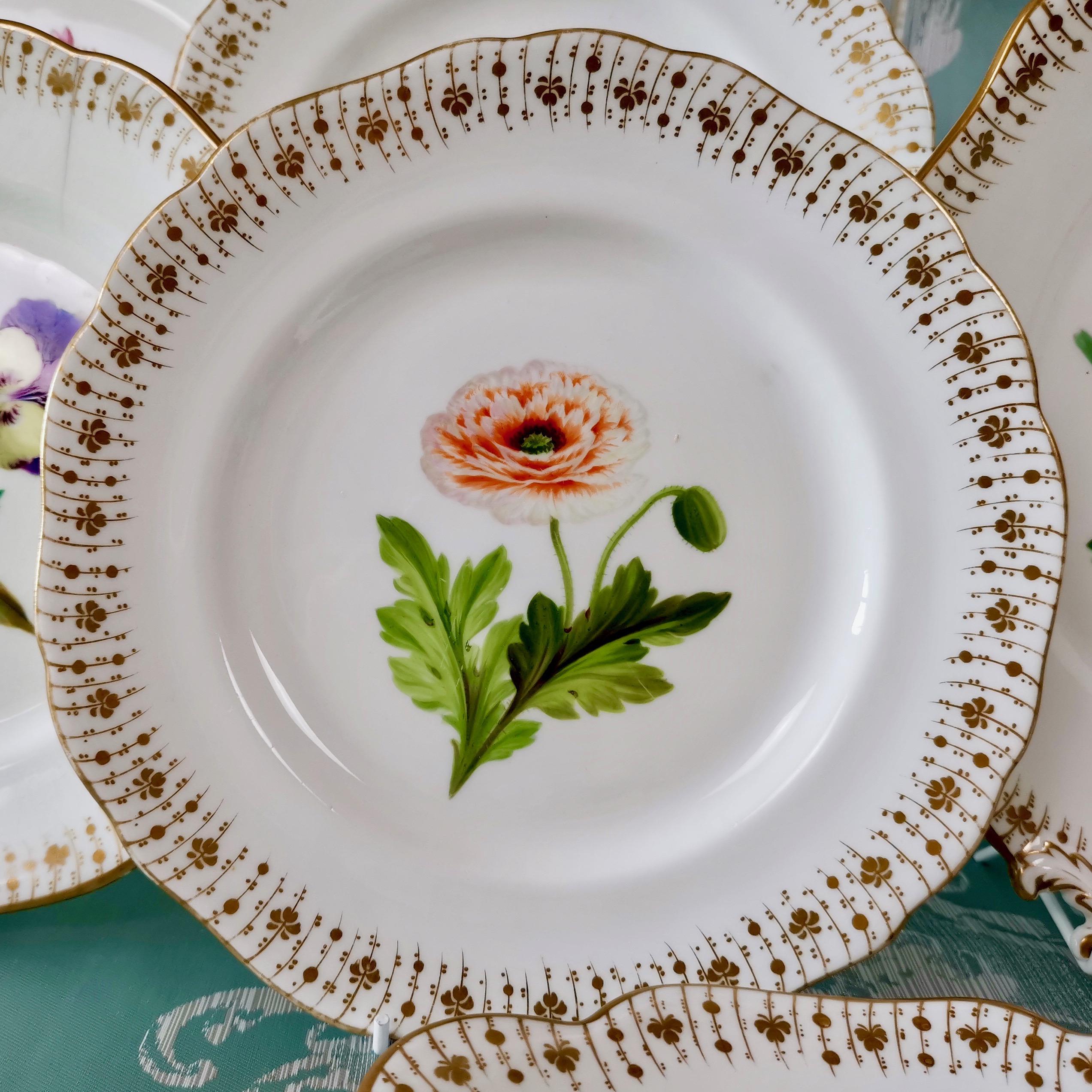 Coalport Dessert Service, Floral Studies by Cecil Jones, circa 1820 1