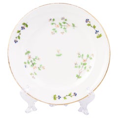 Antique Coalport Fine Porcelain Cornflower Pattern Plate 