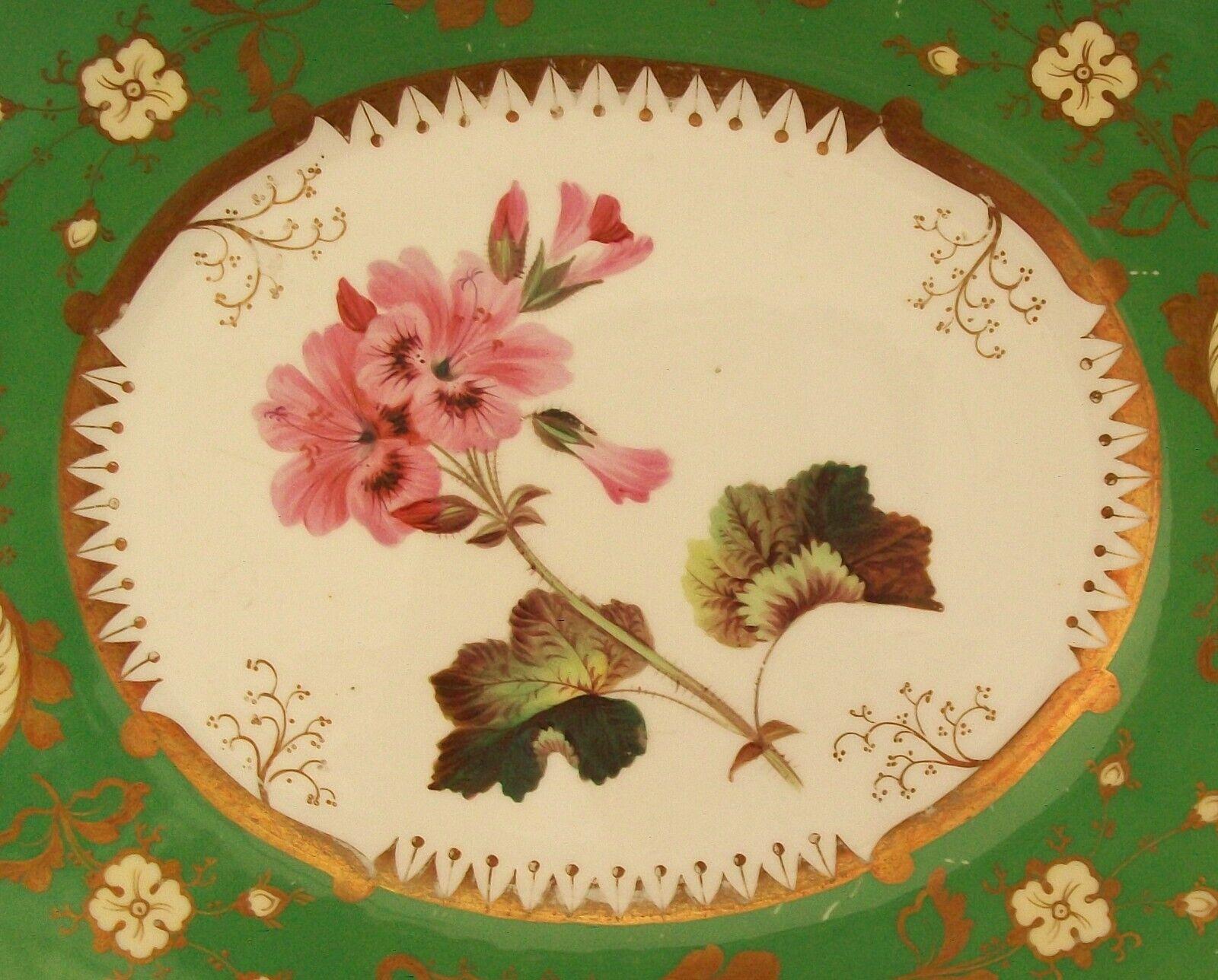 British COALPORT, 'Geranium', Antique Botanical Serving Platter, U.K., Circa 1830's For Sale