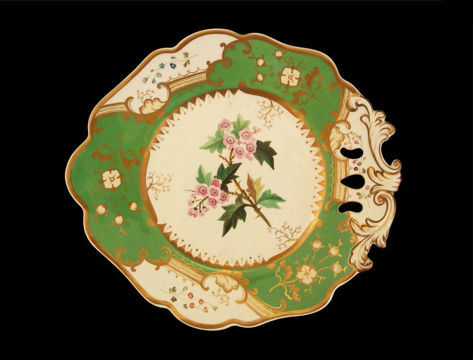 Coalport (zugeschrieben) - 'English Hawthorn' - Antike botanische Servierplatte aus Keramik mit einem Griff, apfelgrünem Rand und vergoldetem Dekor - mit einem handgemalten Blumenmuster in der Mitte - Musternummer auf der Rückseite - unsigniert -
