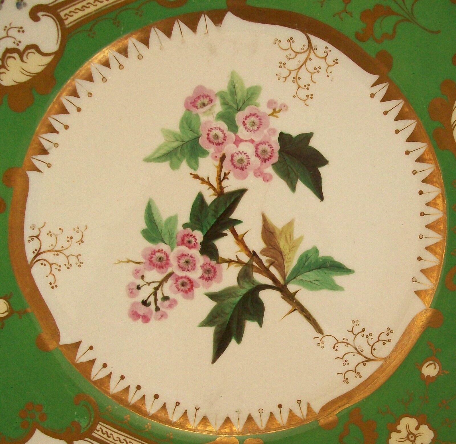British Coalport, 'Hawthorn', Antique Botanical Serving Platter, U.K., Circa 1830's For Sale