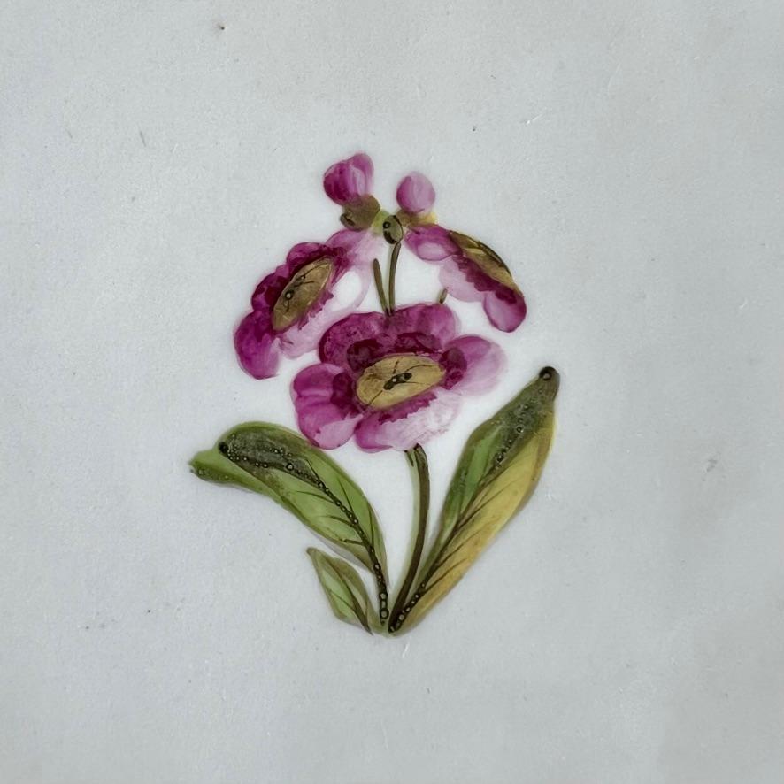 Coalport John Rose Teller, Abundant Flowers, T. Baxter Studio, ca. 1805 (2) im Angebot 1