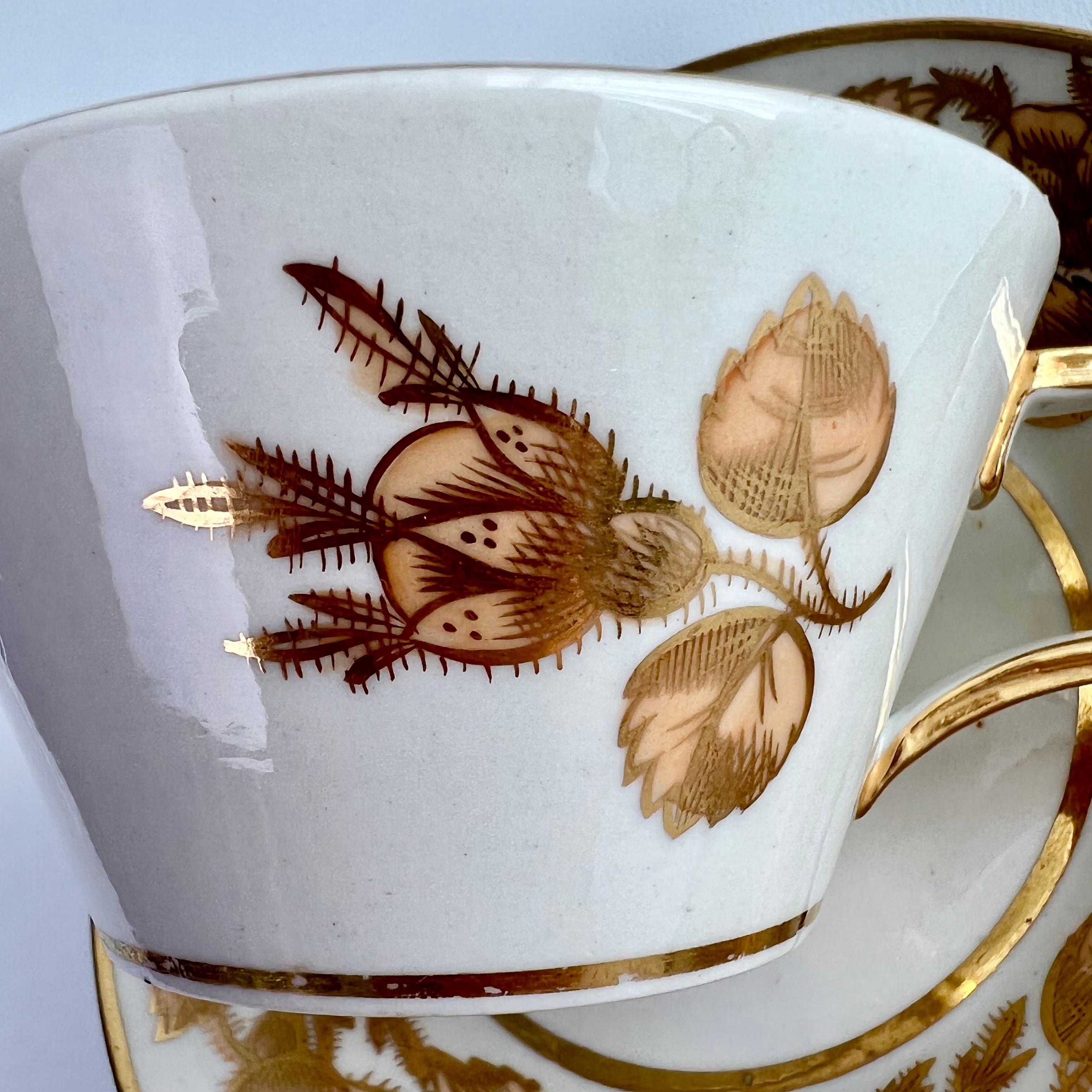 Coalport John Rose Teacup Trio, Gilt Briar Pattern on Bucket Shape, ca 1810 4