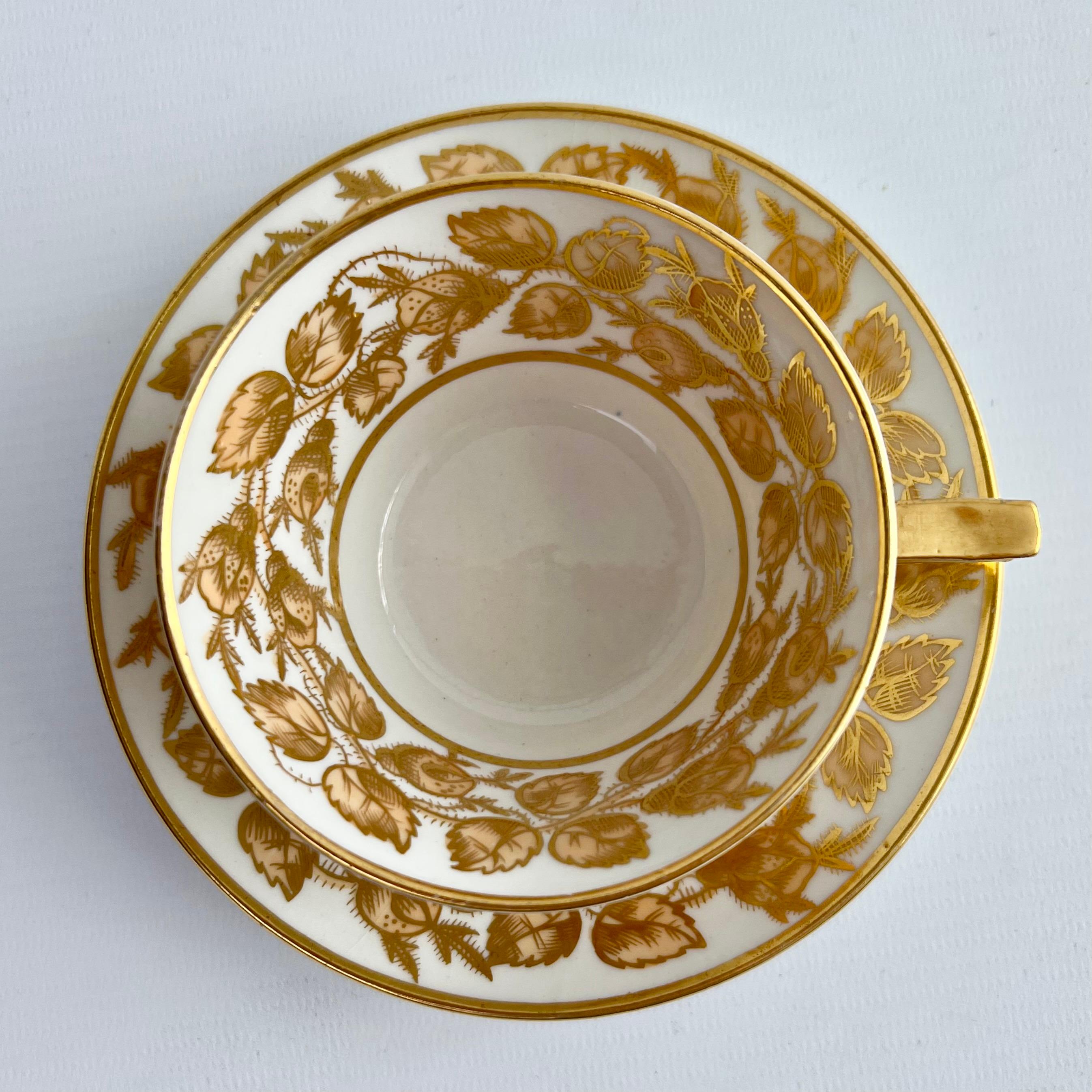 Hand-Painted Coalport John Rose Teacup Trio, Gilt Briar Pattern on Bucket Shape, ca 1810