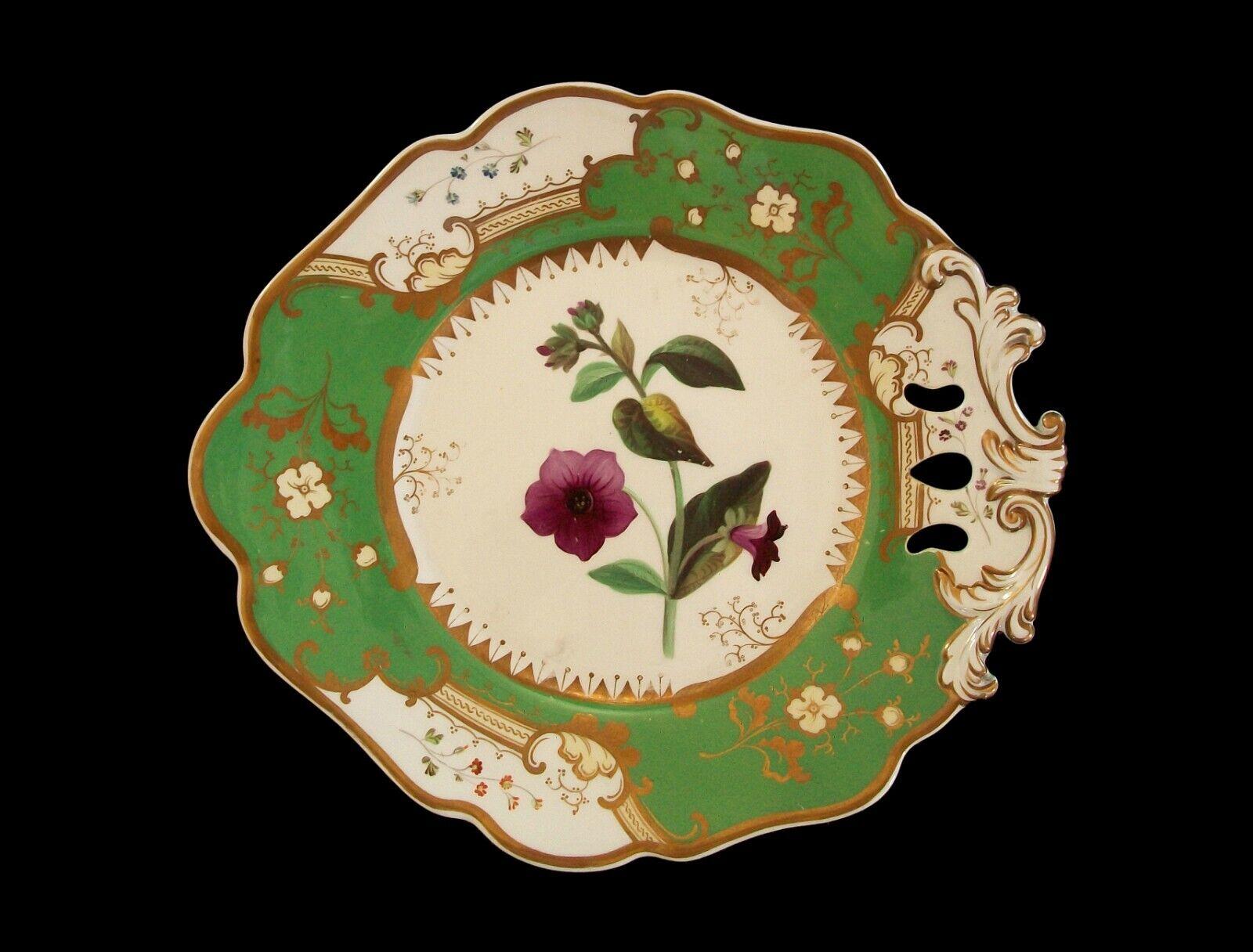 COALPORT (Attributed) - 'Lungwort' - Antique ceramic single handled botanical serving platter with apple green borders and gilded decoration - featuring a hand painted floral specimen to the center - pattern number to the back - unsigned - United