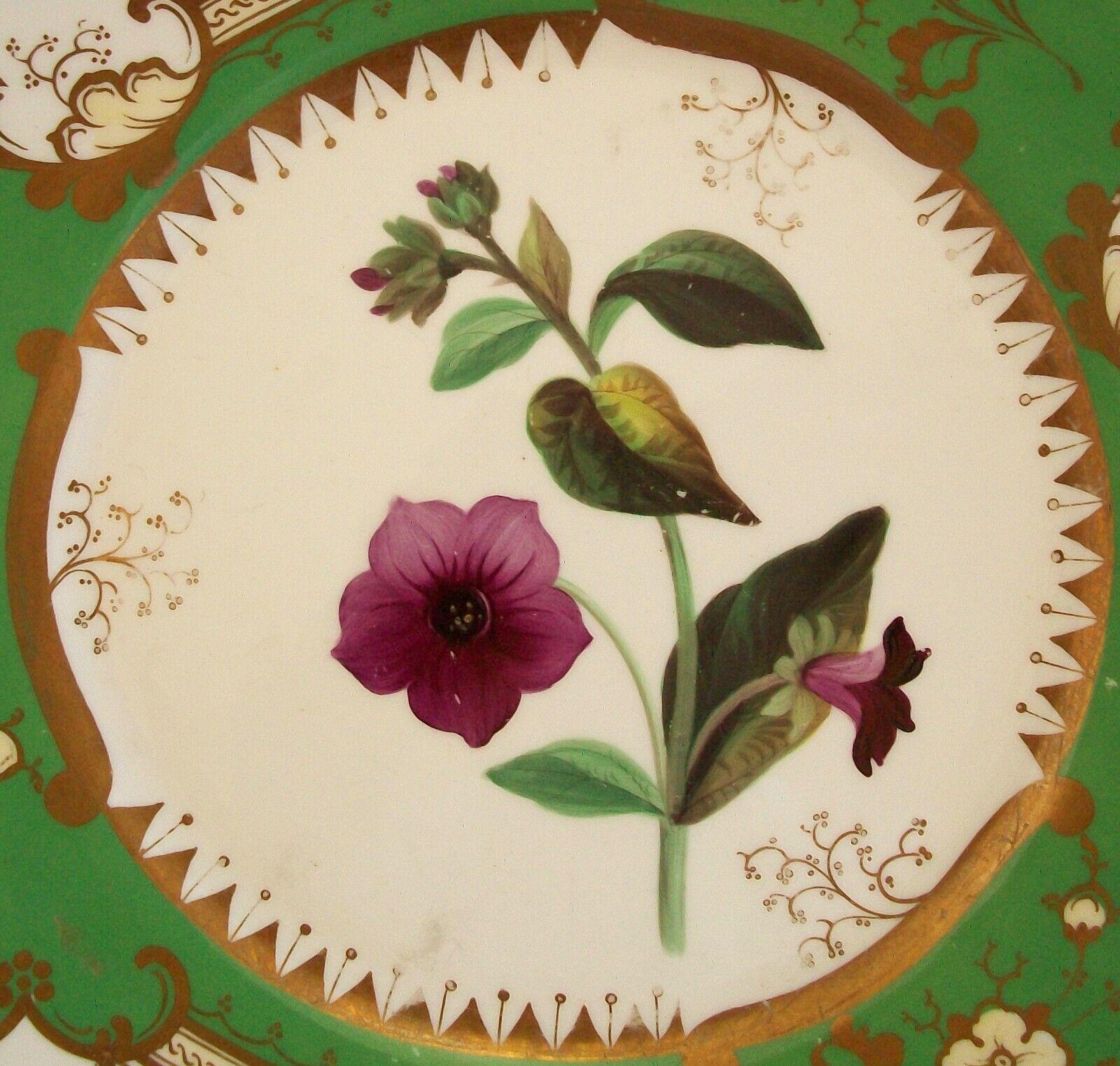 British Coalport, 'Lungwort', Antique Botanical Serving Platter, U.K., circa 1830's For Sale