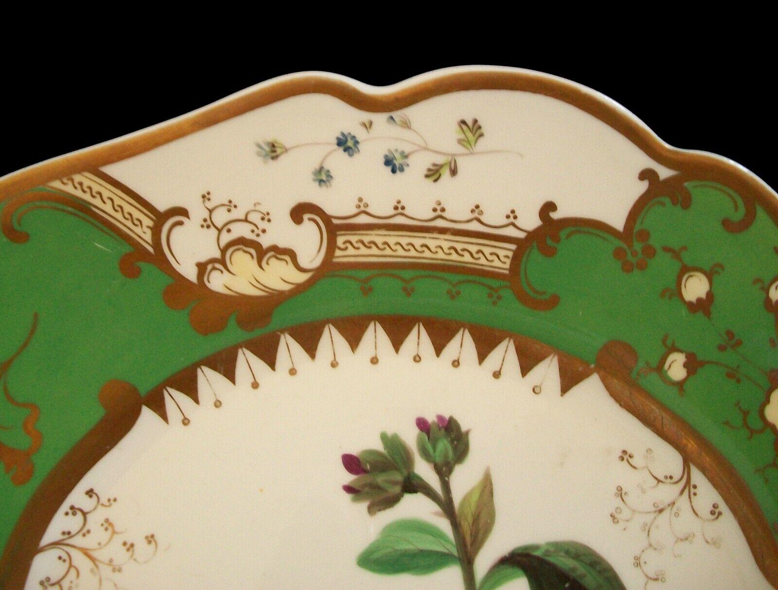 Coalport, 'Lungwort', Antique Botanical Serving Platter, U.K., circa 1830's In Good Condition For Sale In Chatham, ON