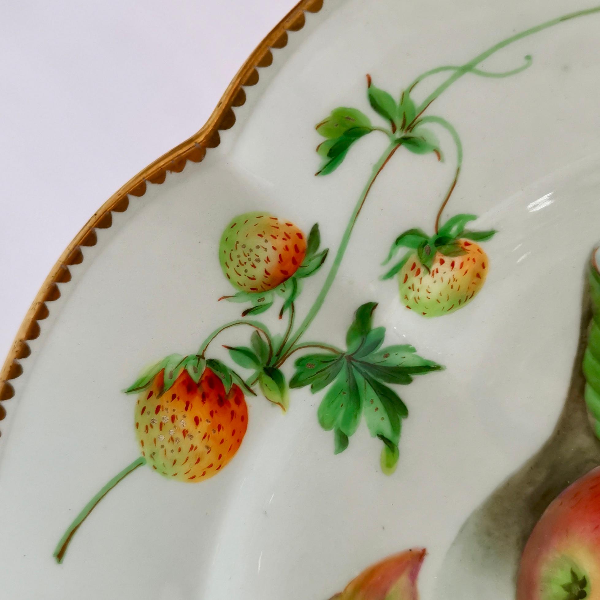 Coalport Part Dessert Service, Fruit Paintings, 1850-1865 5