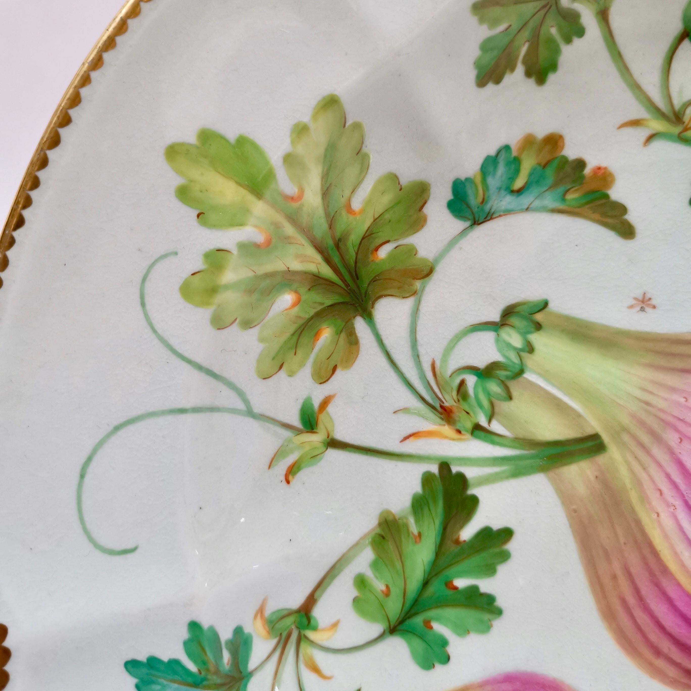 Coalport Part Dessert Service, Fruit Paintings, 1850-1865 7
