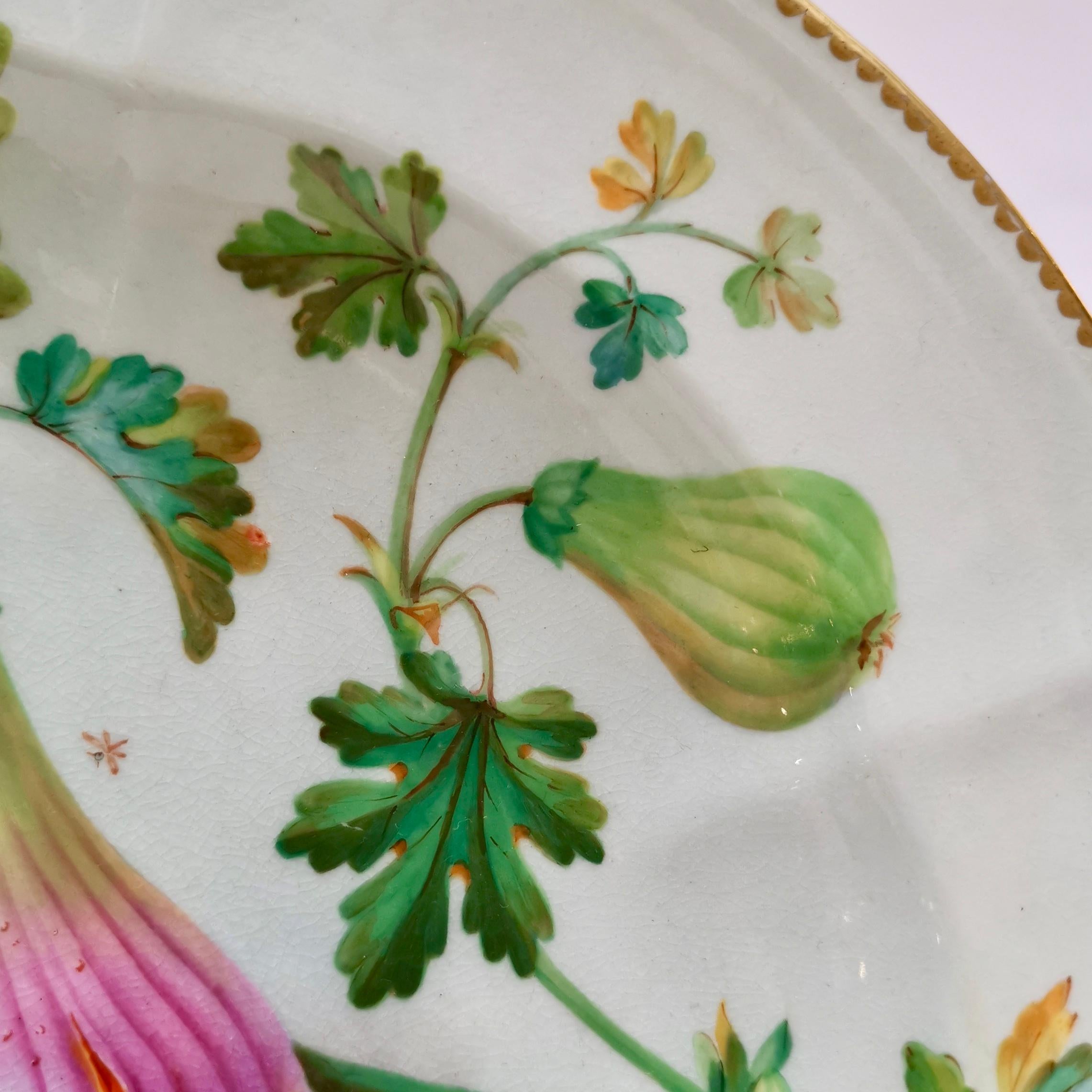 Coalport Part Dessert Service, Fruit Paintings, 1850-1865 9