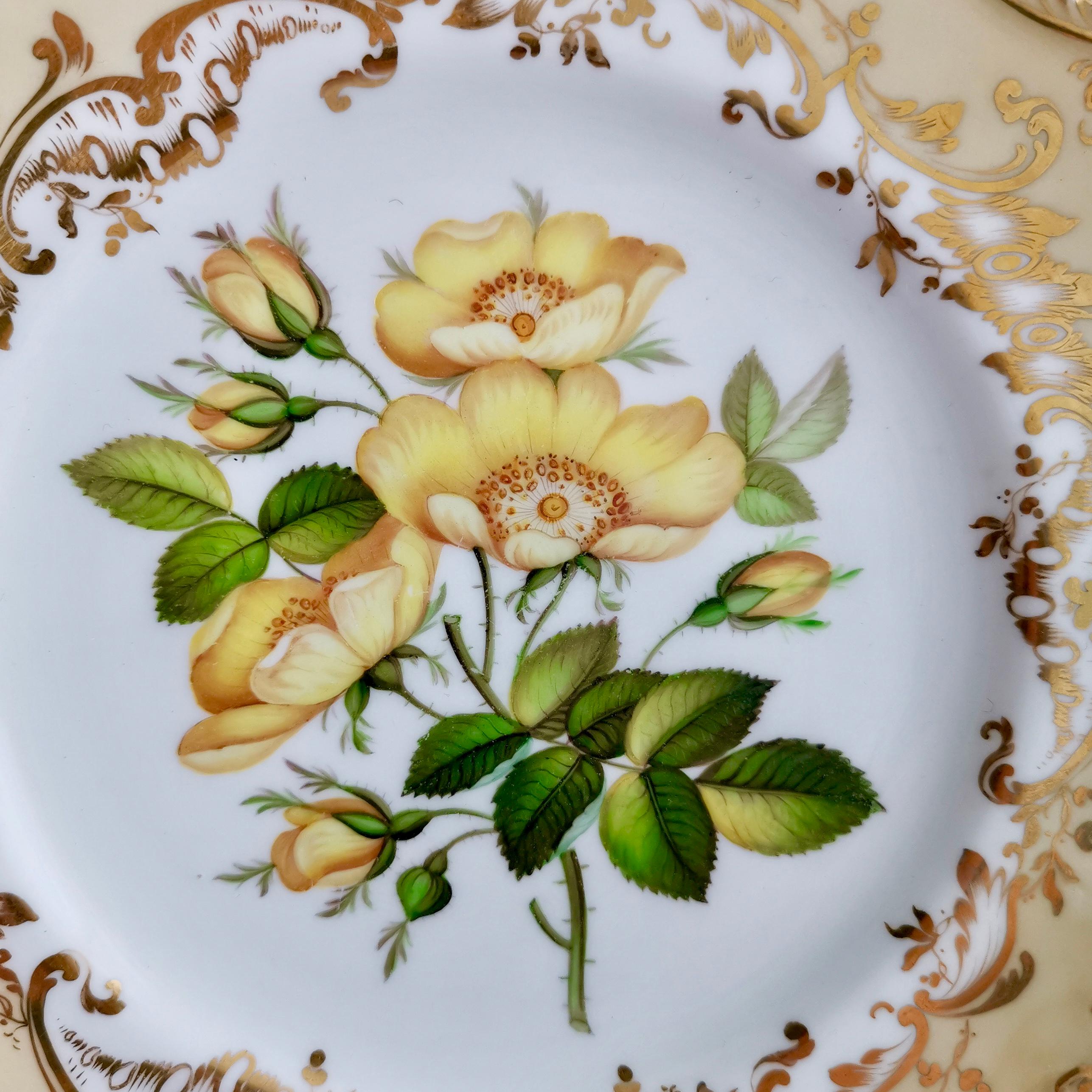 Coalport Part Dessert Service, Named Flowers by John Toulouse, 1843 3