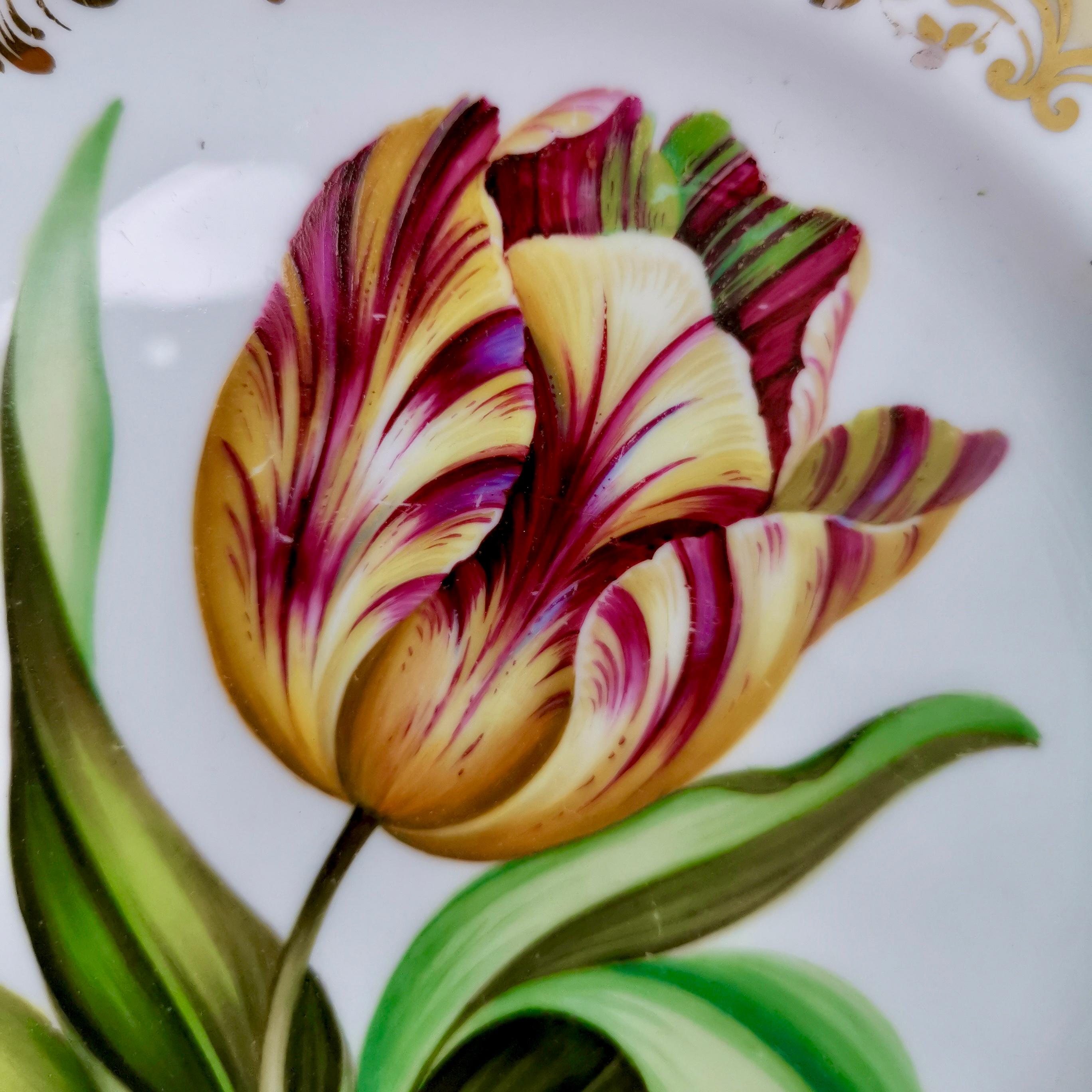 Coalport Part Dessert Service, Named Flowers by John Toulouse, 1843 4