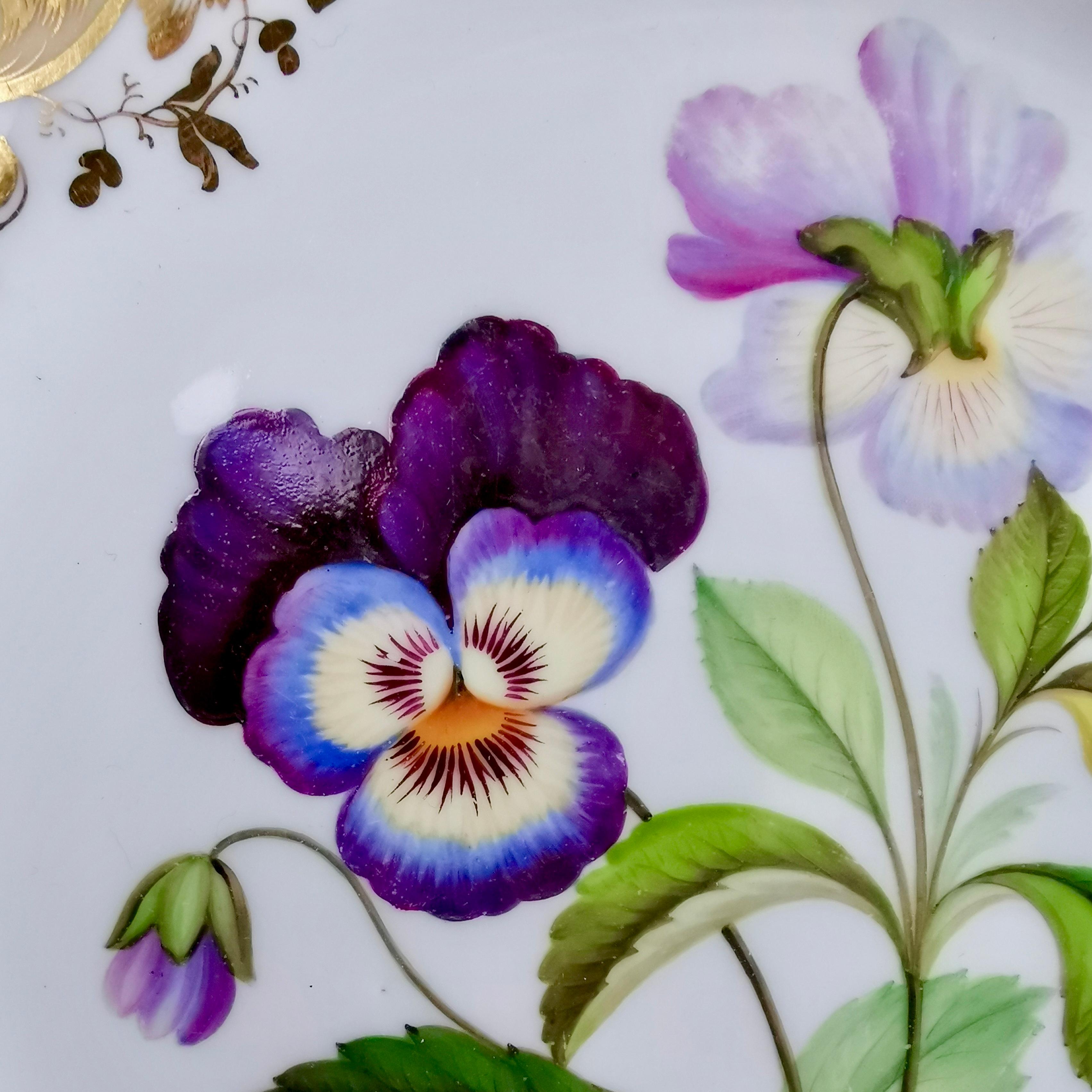 Coalport Part Dessert Service, Named Flowers by John Toulouse, 1843 6