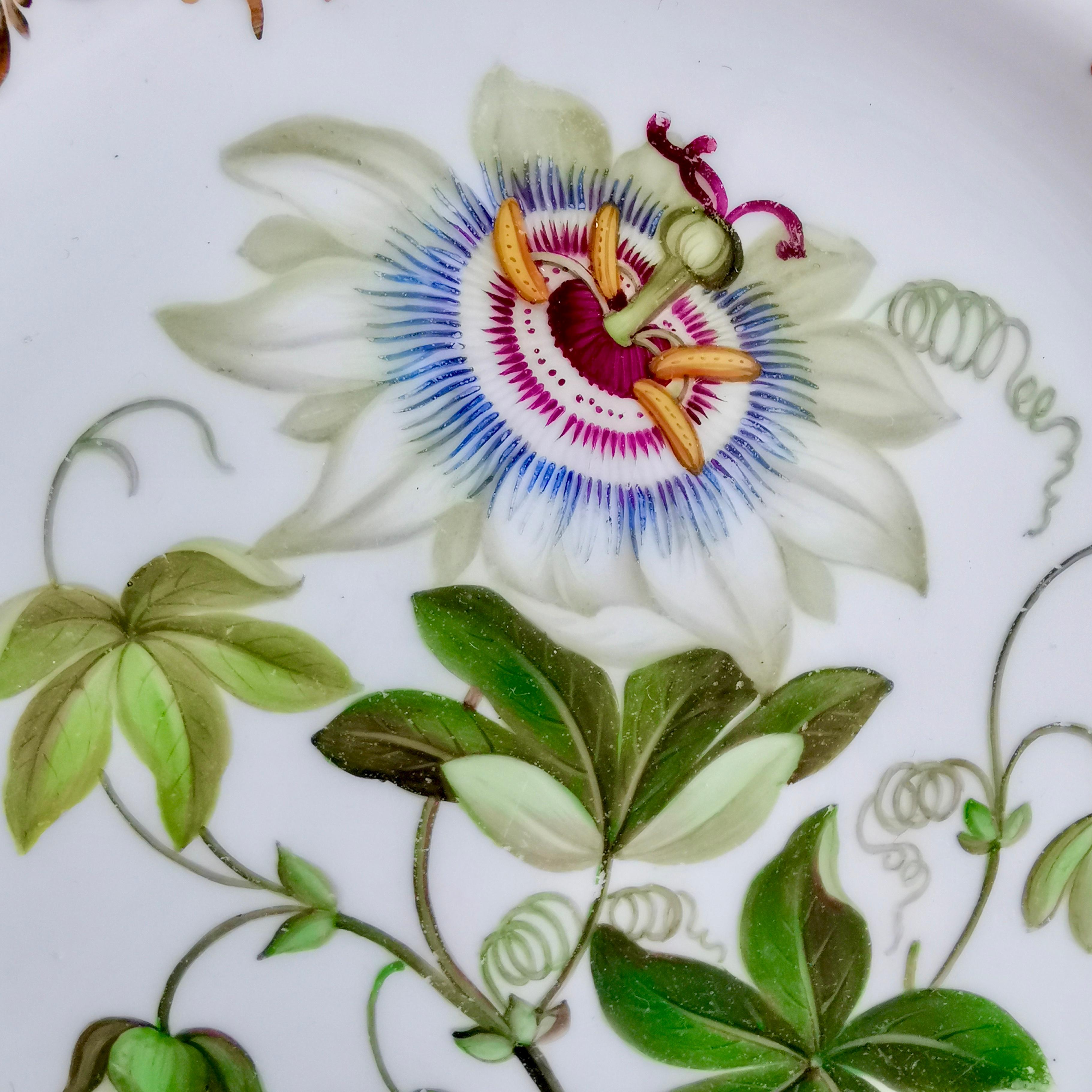 Coalport Part Dessert Service, Named Flowers by John Toulouse, 1843 7