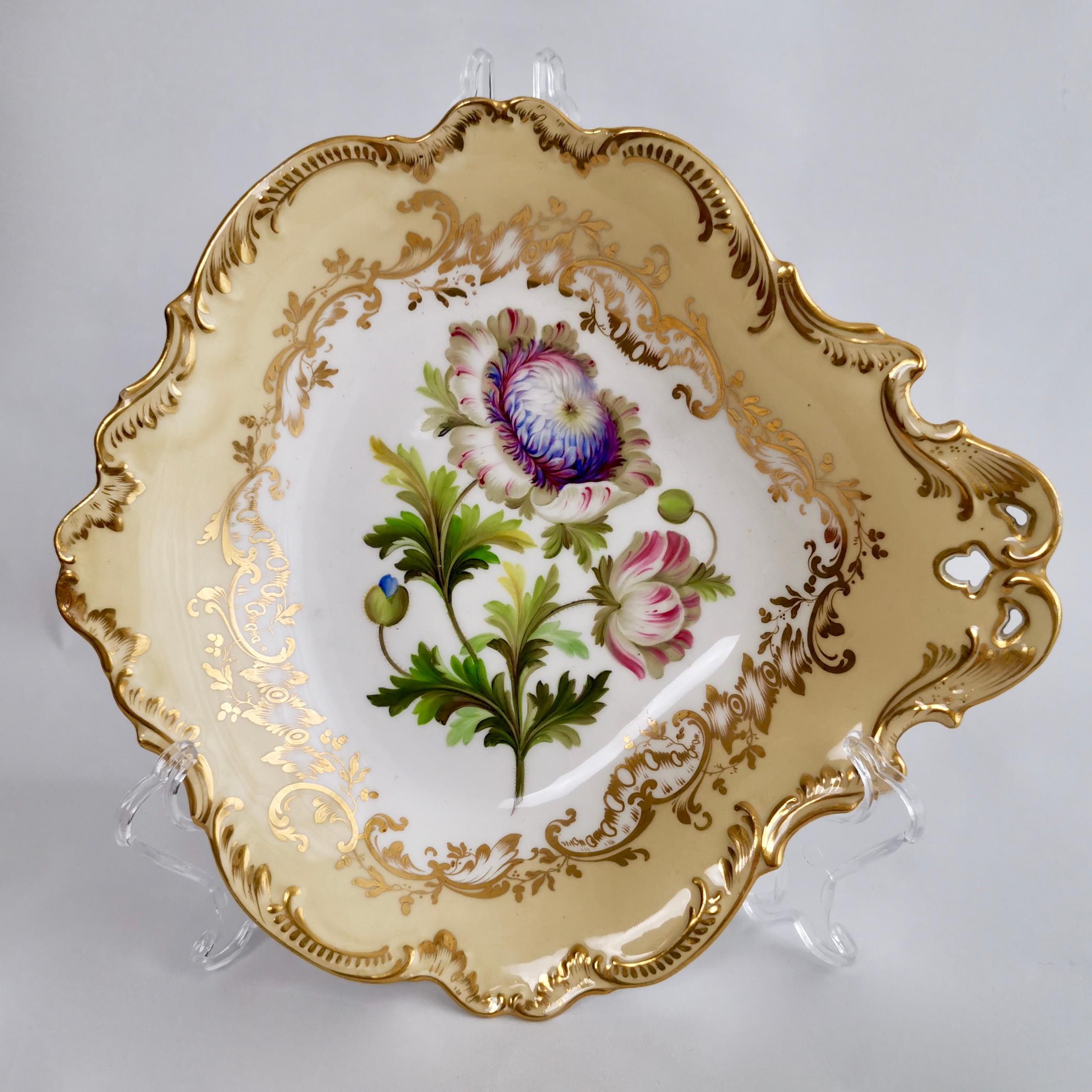 Rococo Revival Coalport Part Dessert Service, Named Flowers by John Toulouse, 1843