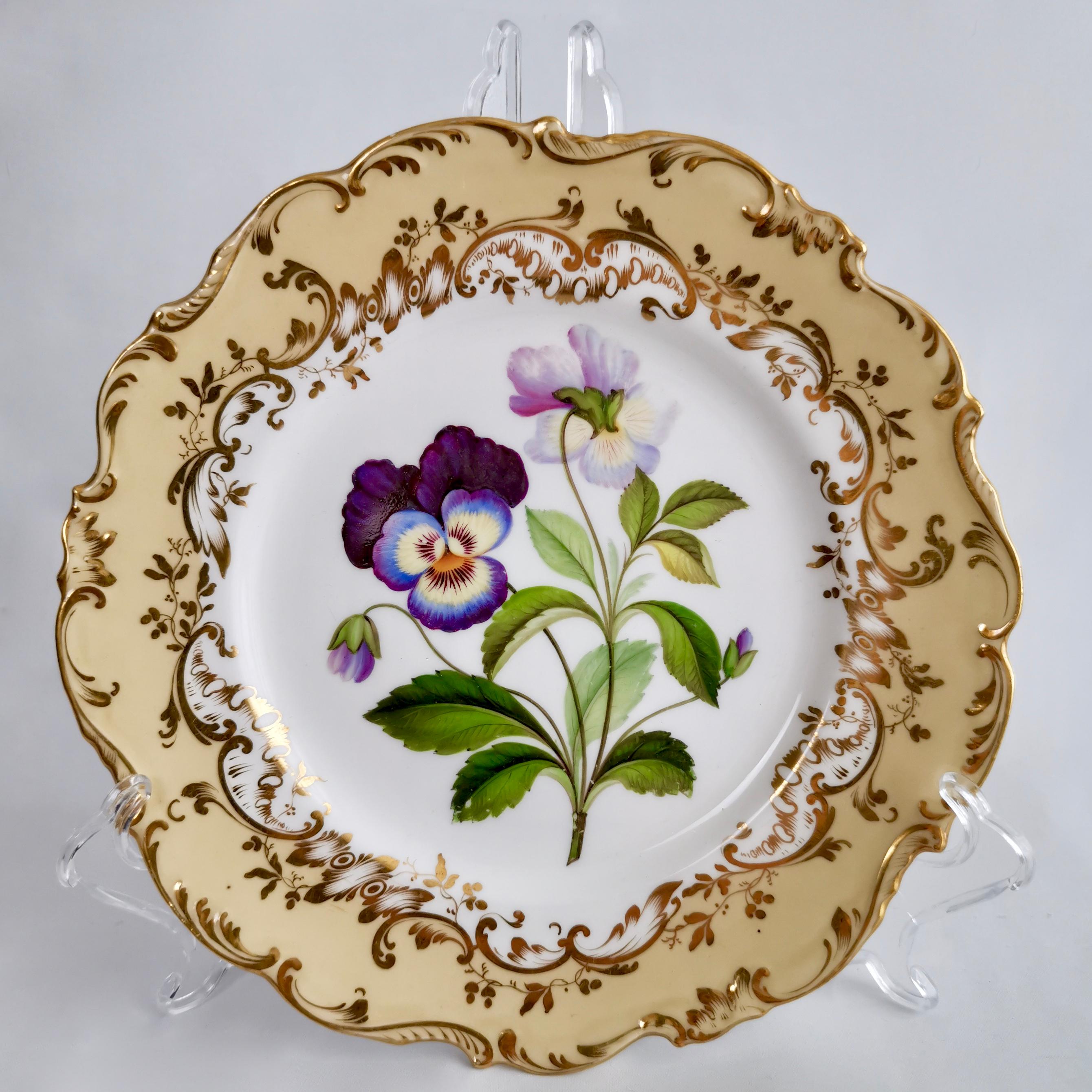 English Coalport Part Dessert Service, Named Flowers by John Toulouse, 1843