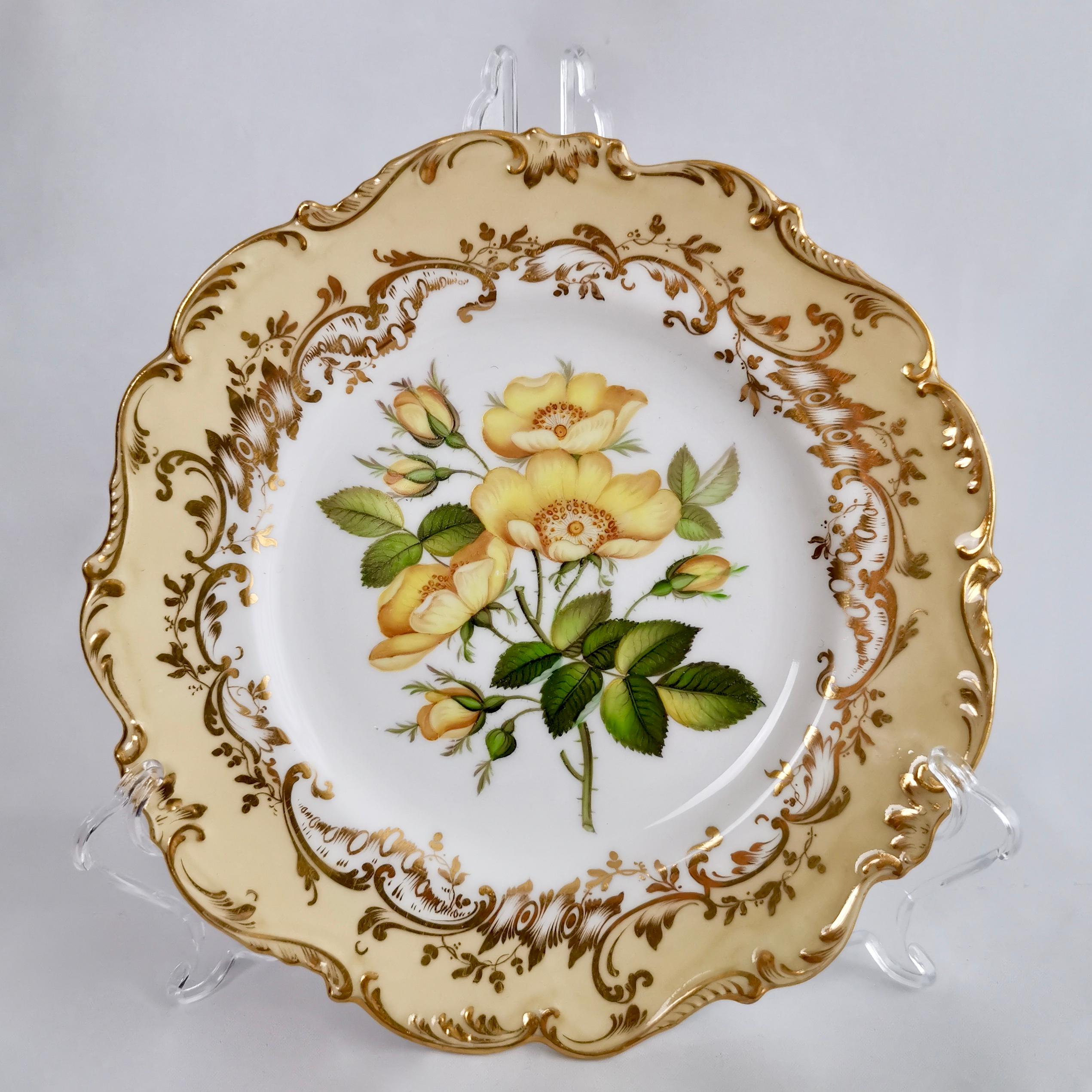 Hand-Painted Coalport Part Dessert Service, Named Flowers by John Toulouse, 1843