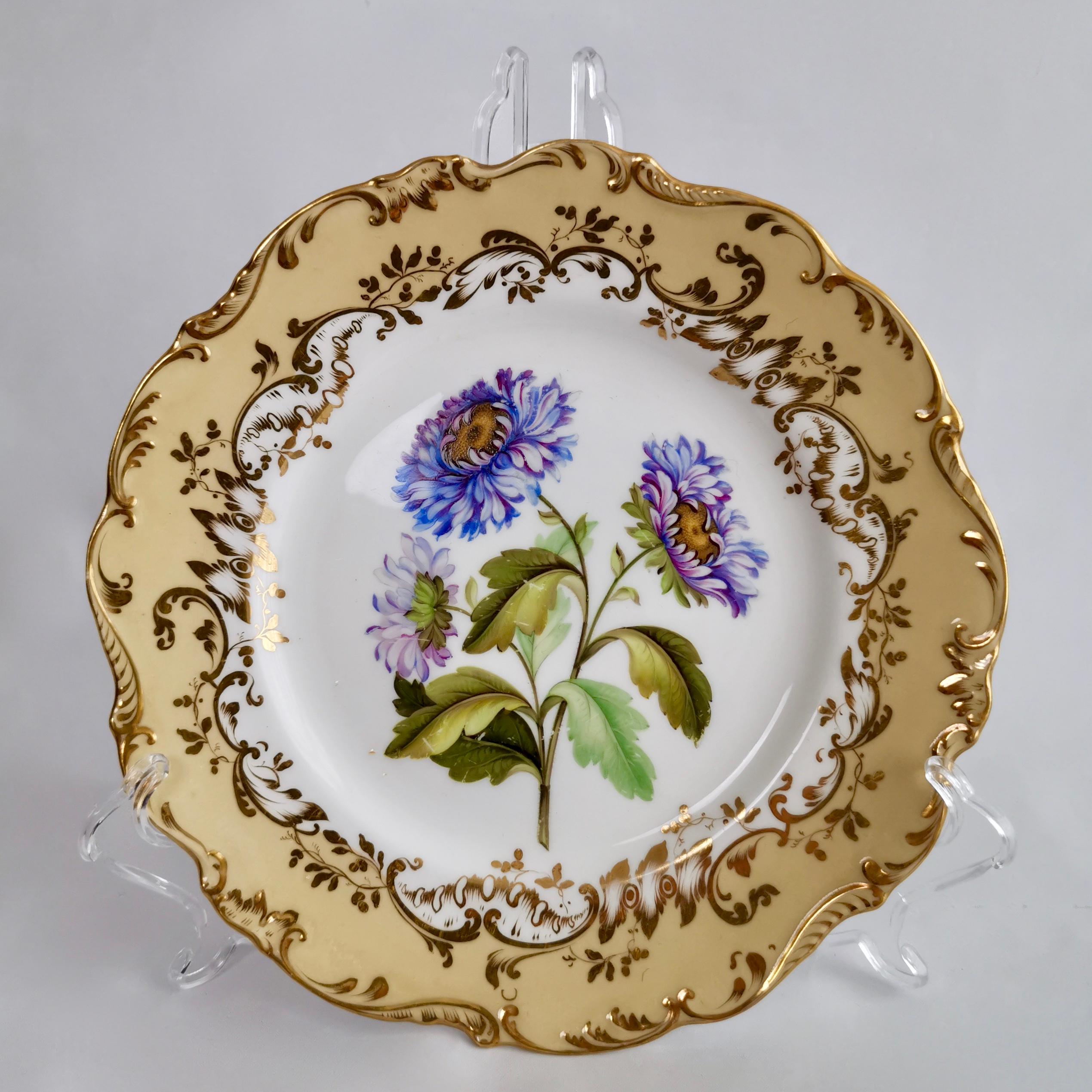 Coalport Part Dessert Service, Named Flowers by John Toulouse, 1843 In Good Condition In London, GB