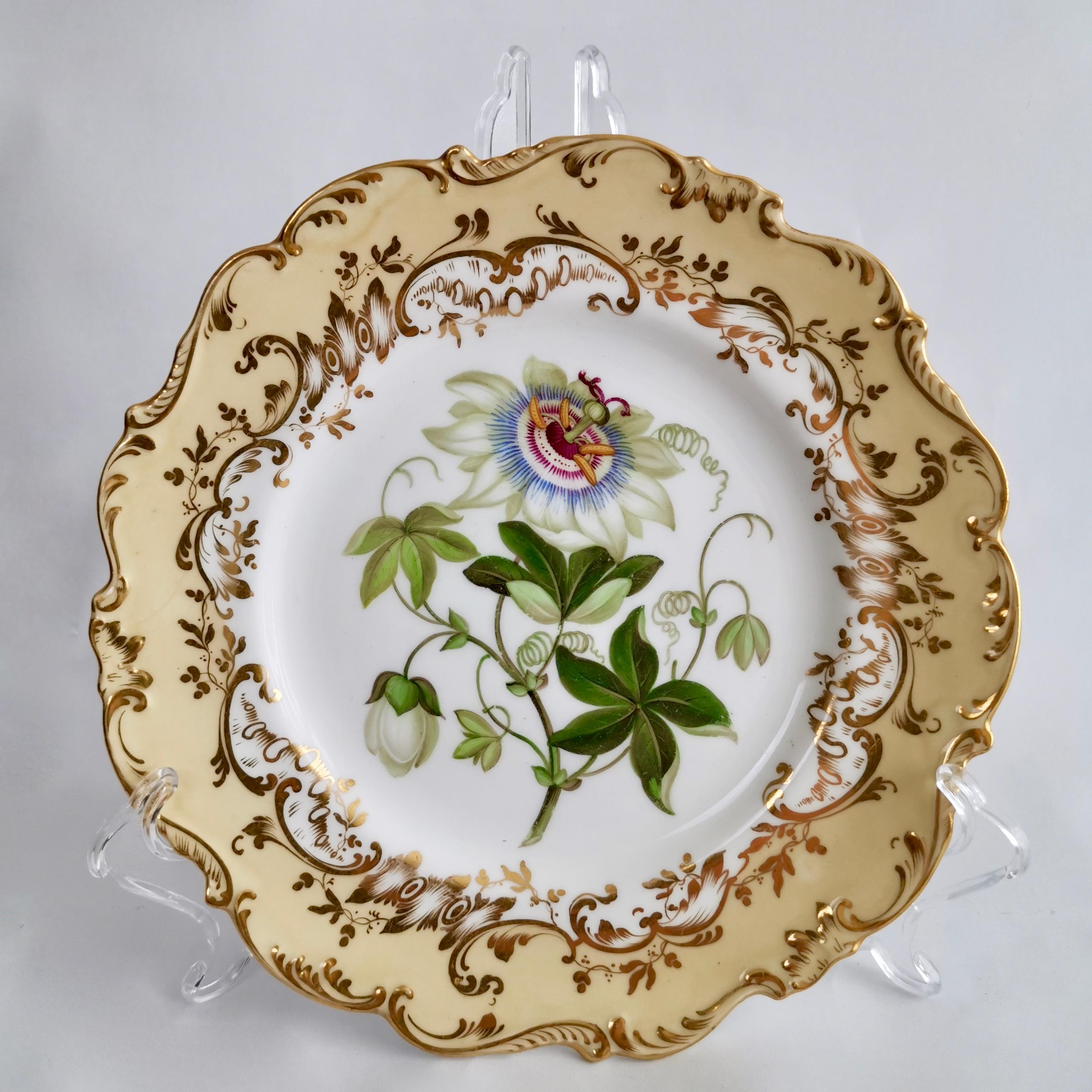 Porcelain Coalport Part Dessert Service, Named Flowers by John Toulouse, 1843