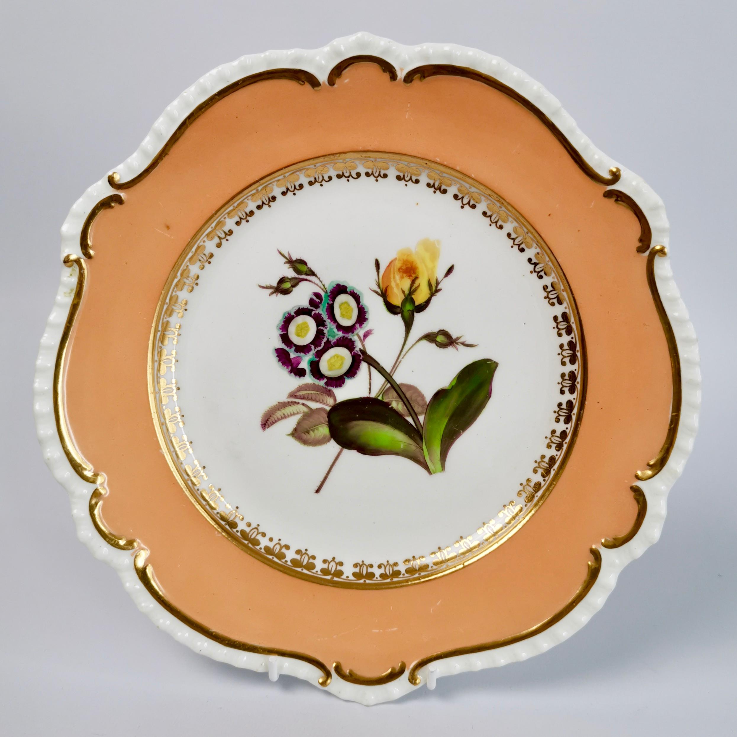 Coalport Porcelain Dessert Service, Botanical, Peach Ground, Regency 1820-1825 3