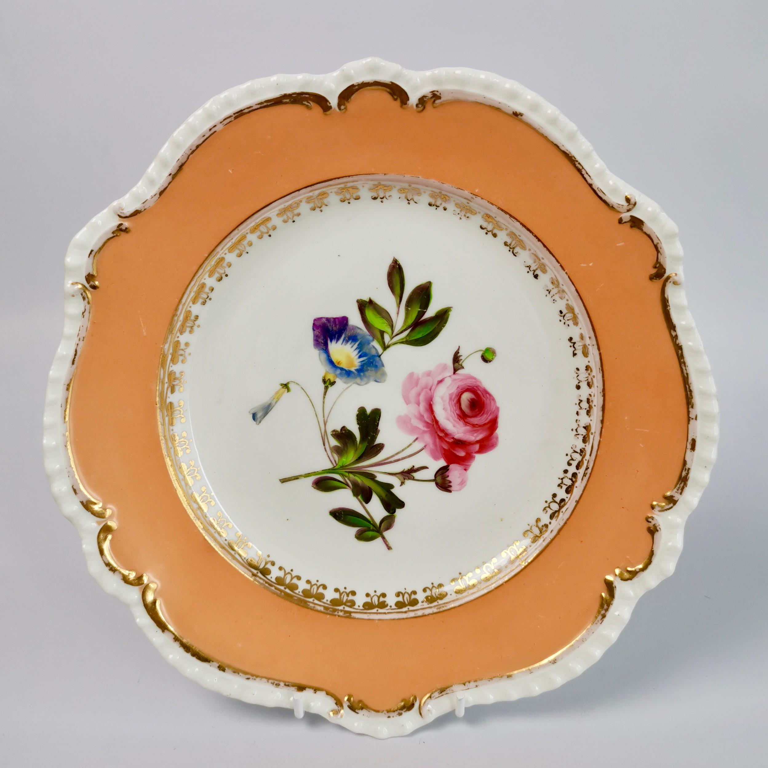 Coalport Porcelain Dessert Service, Botanical, Peach Ground, Regency 1820-1825 4